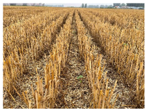 Agriculture 12 01311 i001