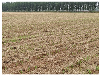 Agriculture 12 01311 i002