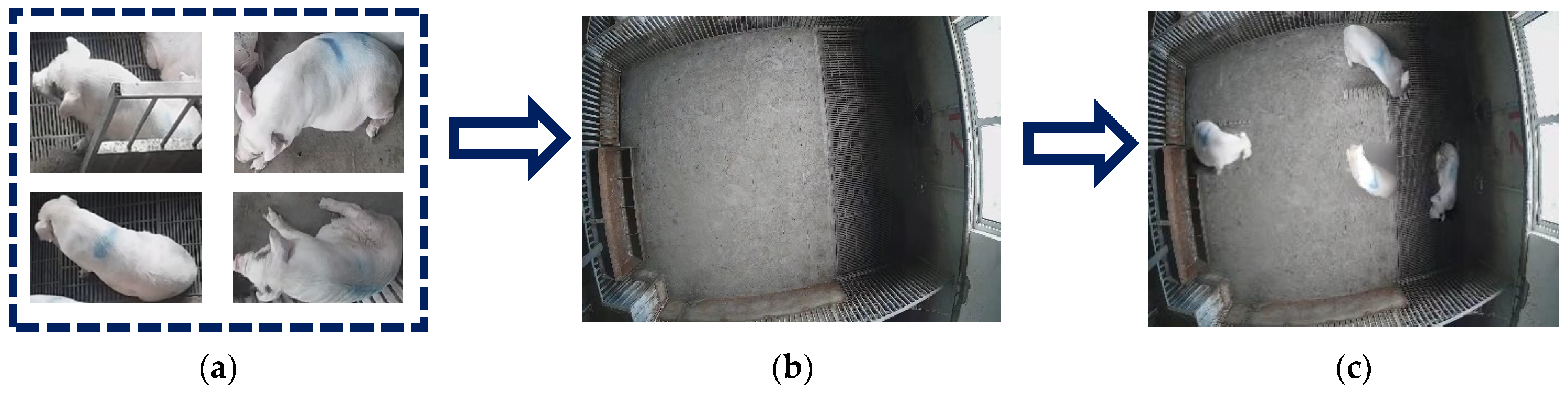 Agriculture 12 01314 g005