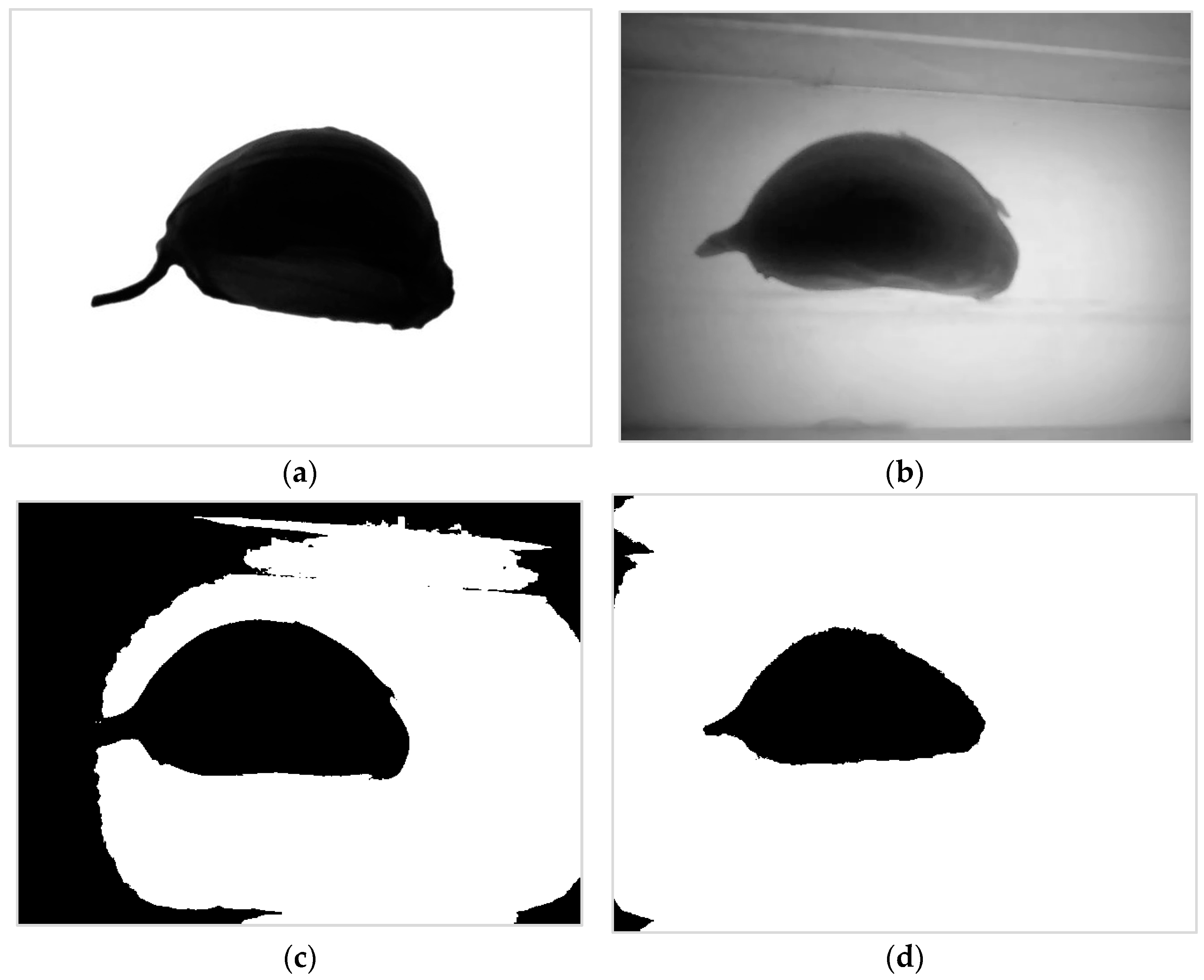 Agriculture 12 01334 g002