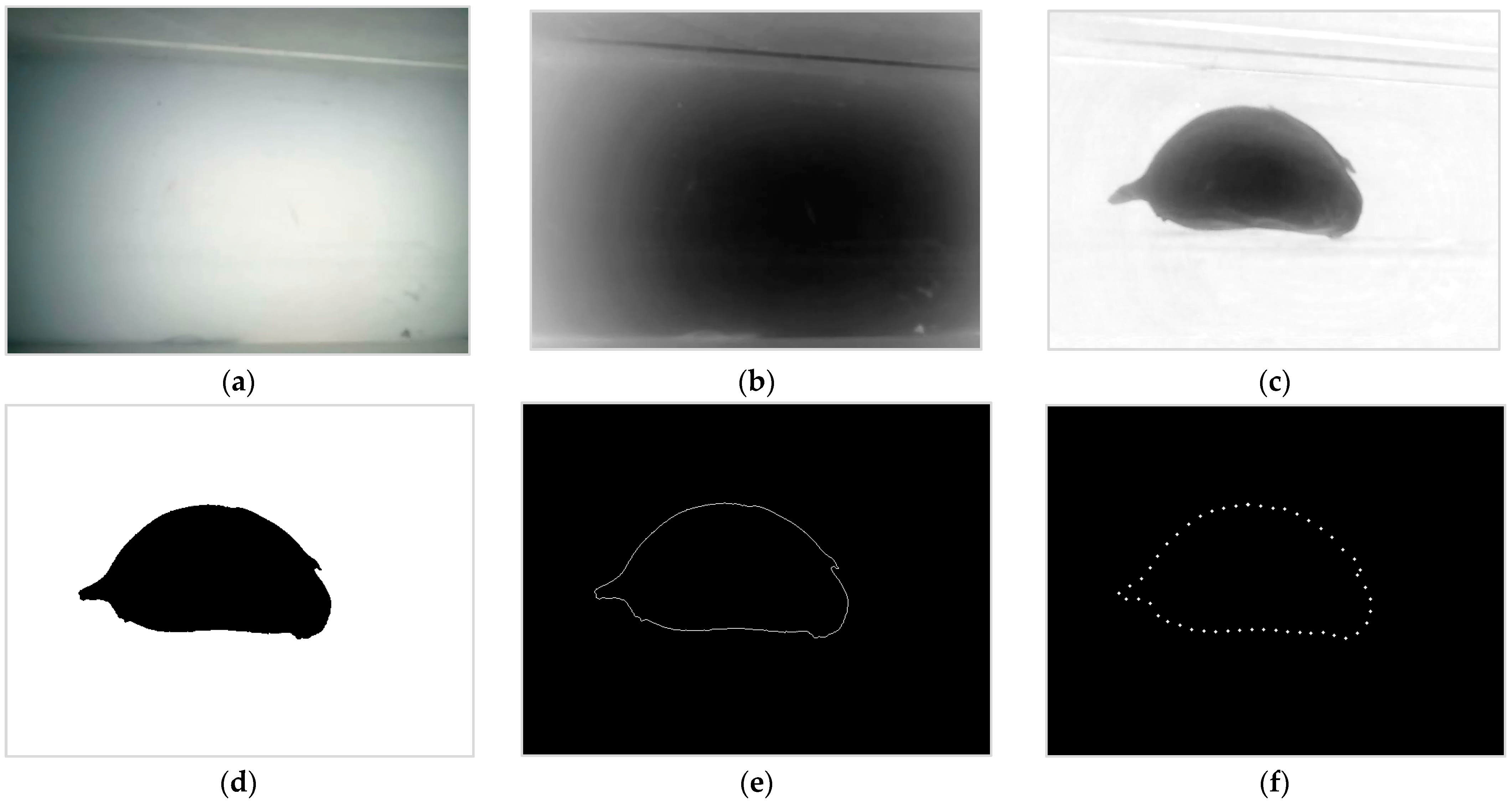 Agriculture 12 01334 g003