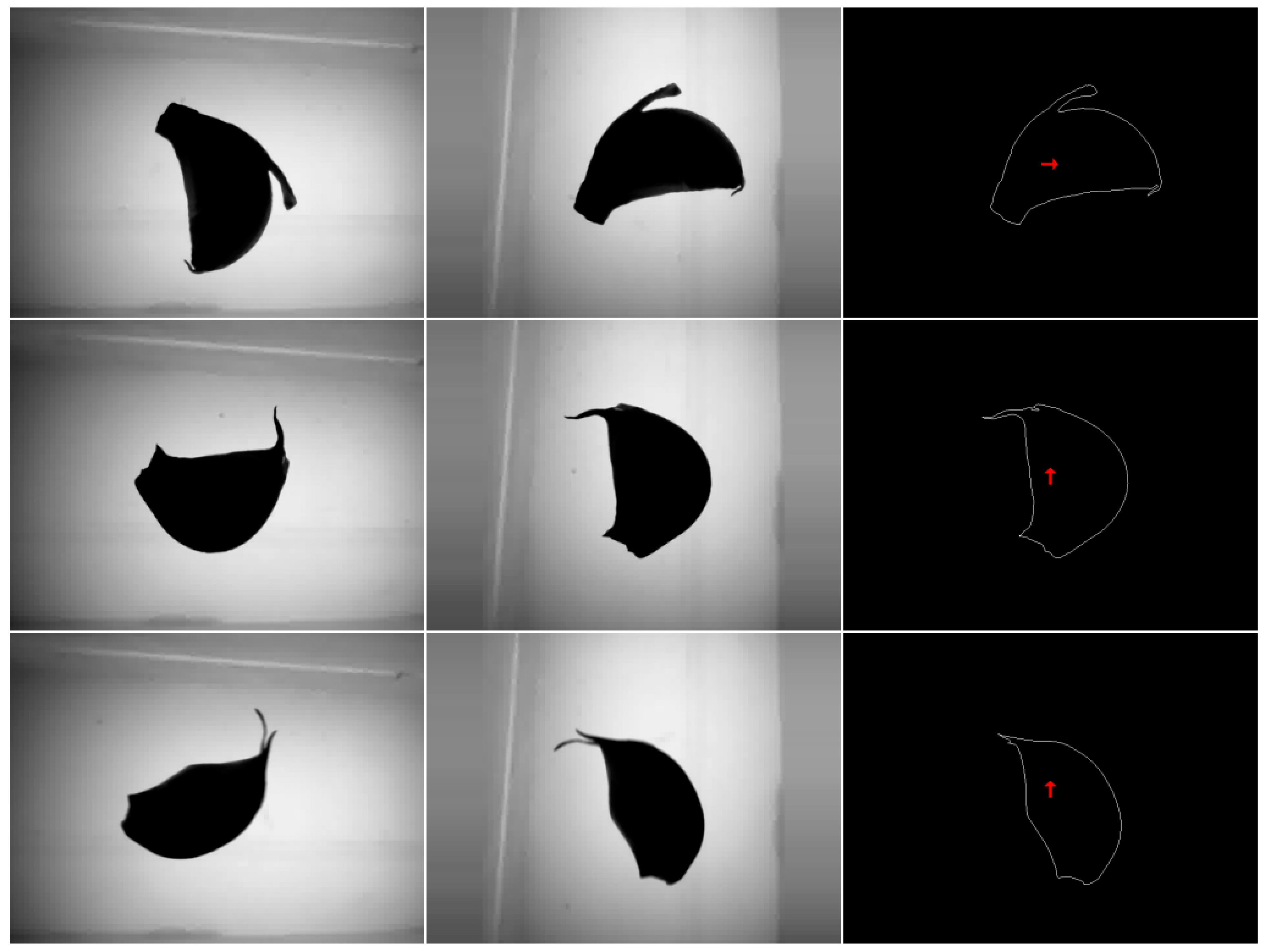 Agriculture 12 01334 g020