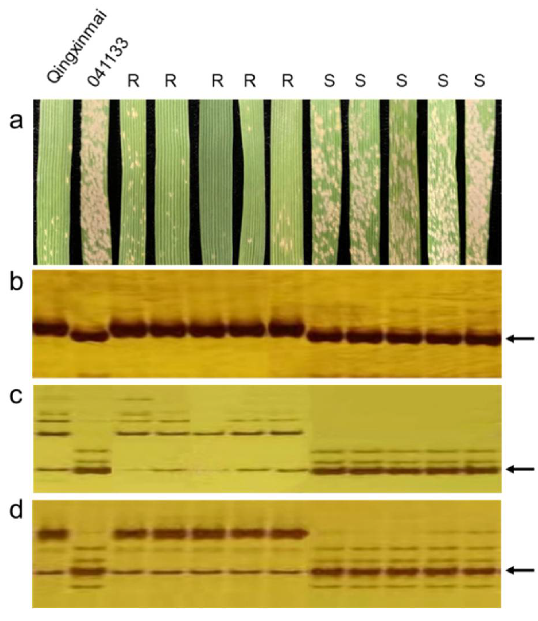Agriculture 12 01344 g001