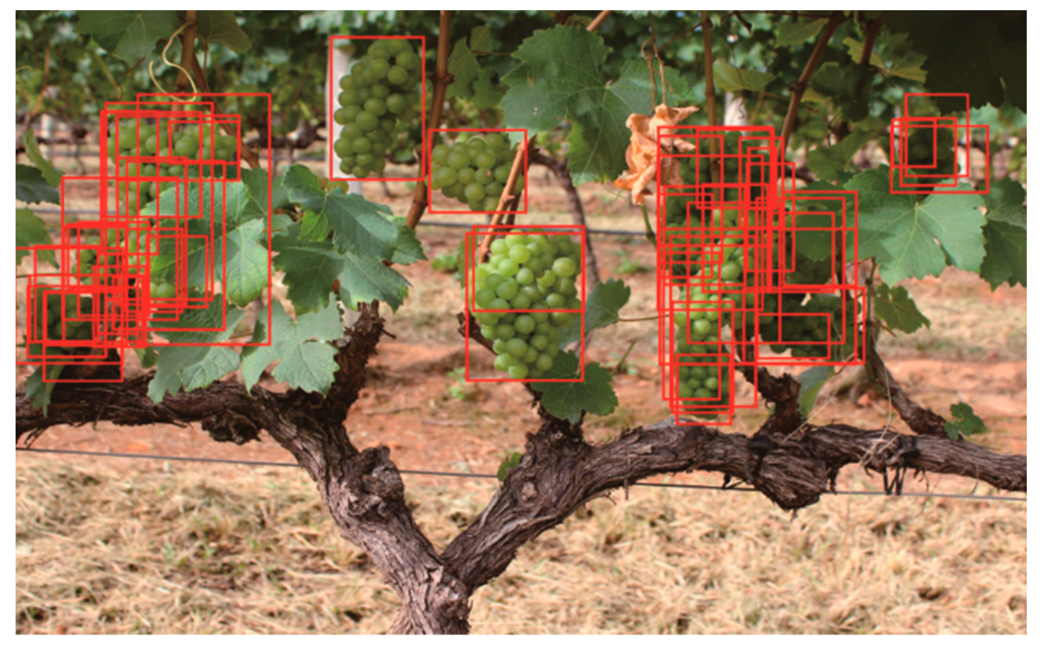 Agriculture 12 01364 g006