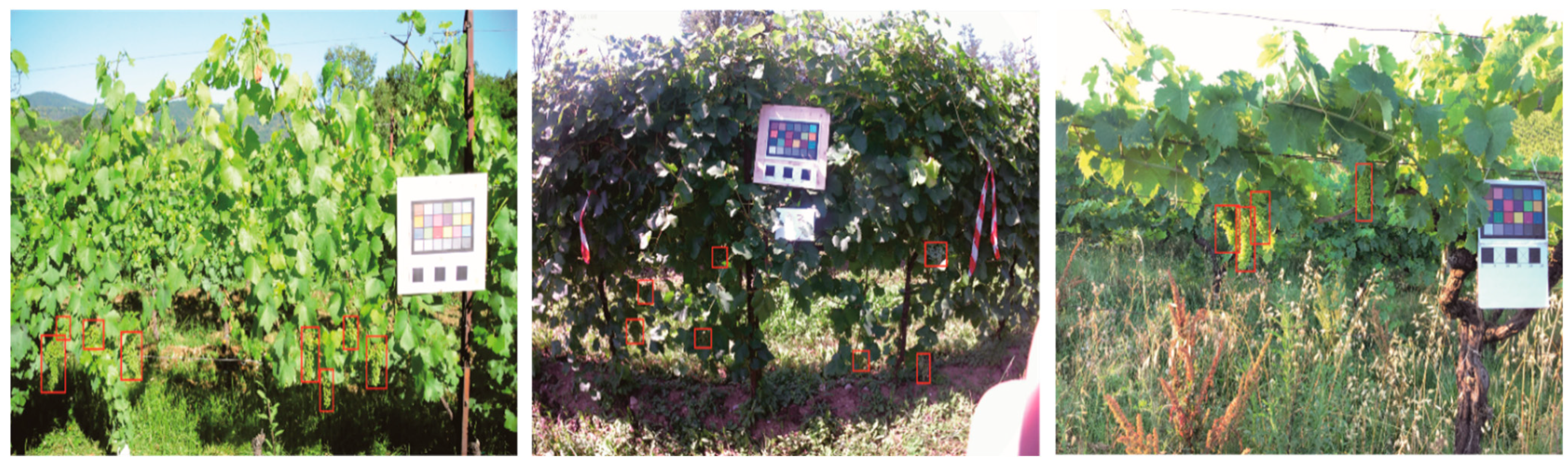 Agriculture 12 01364 g009