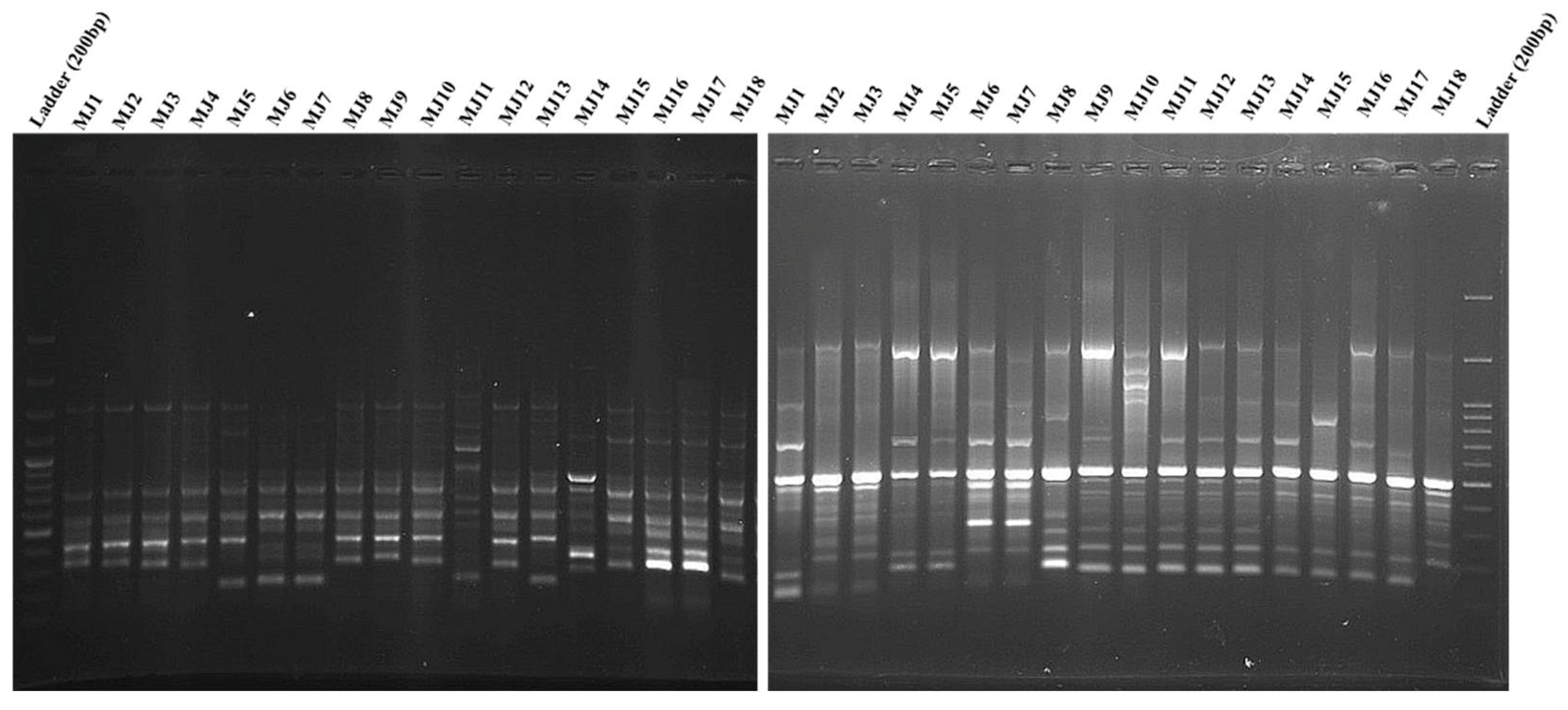 Agriculture 12 01374 g003