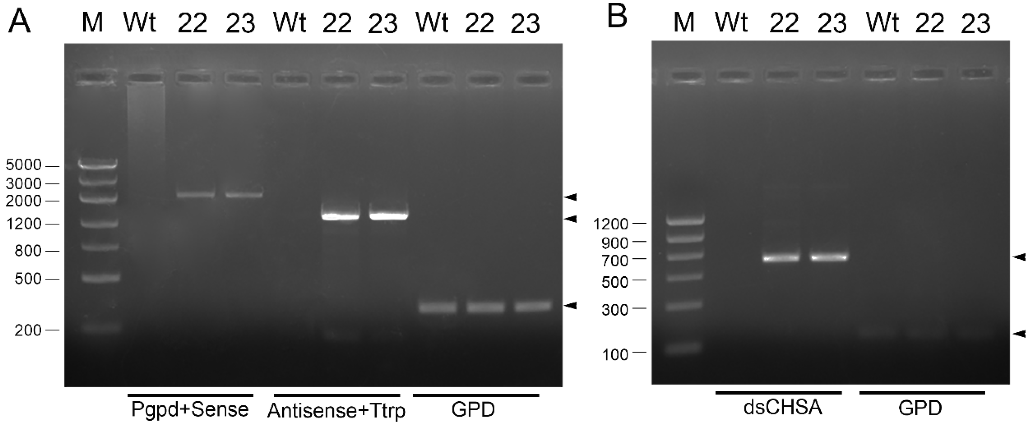 Agriculture 12 01393 g001