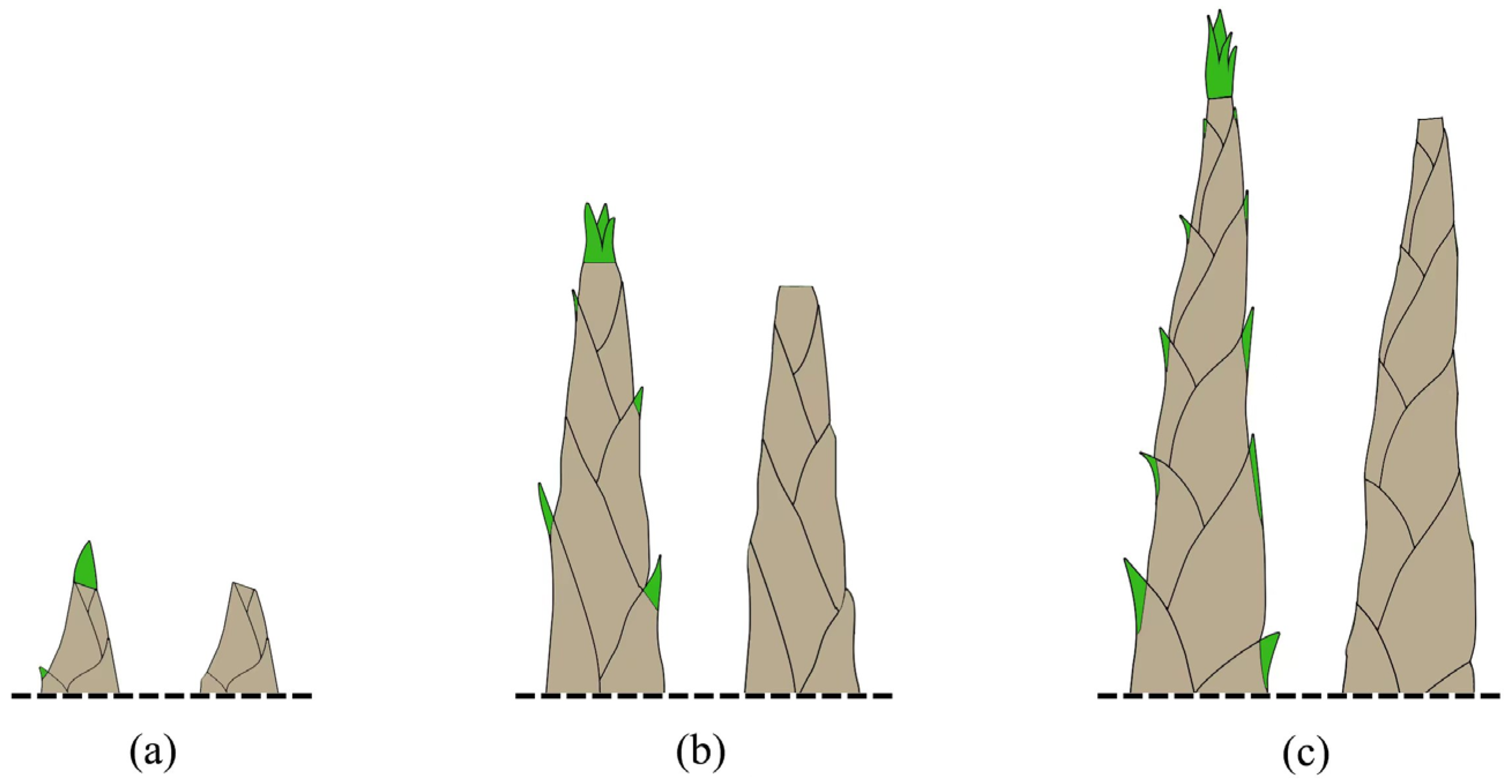 Agriculture 12 01396 g001