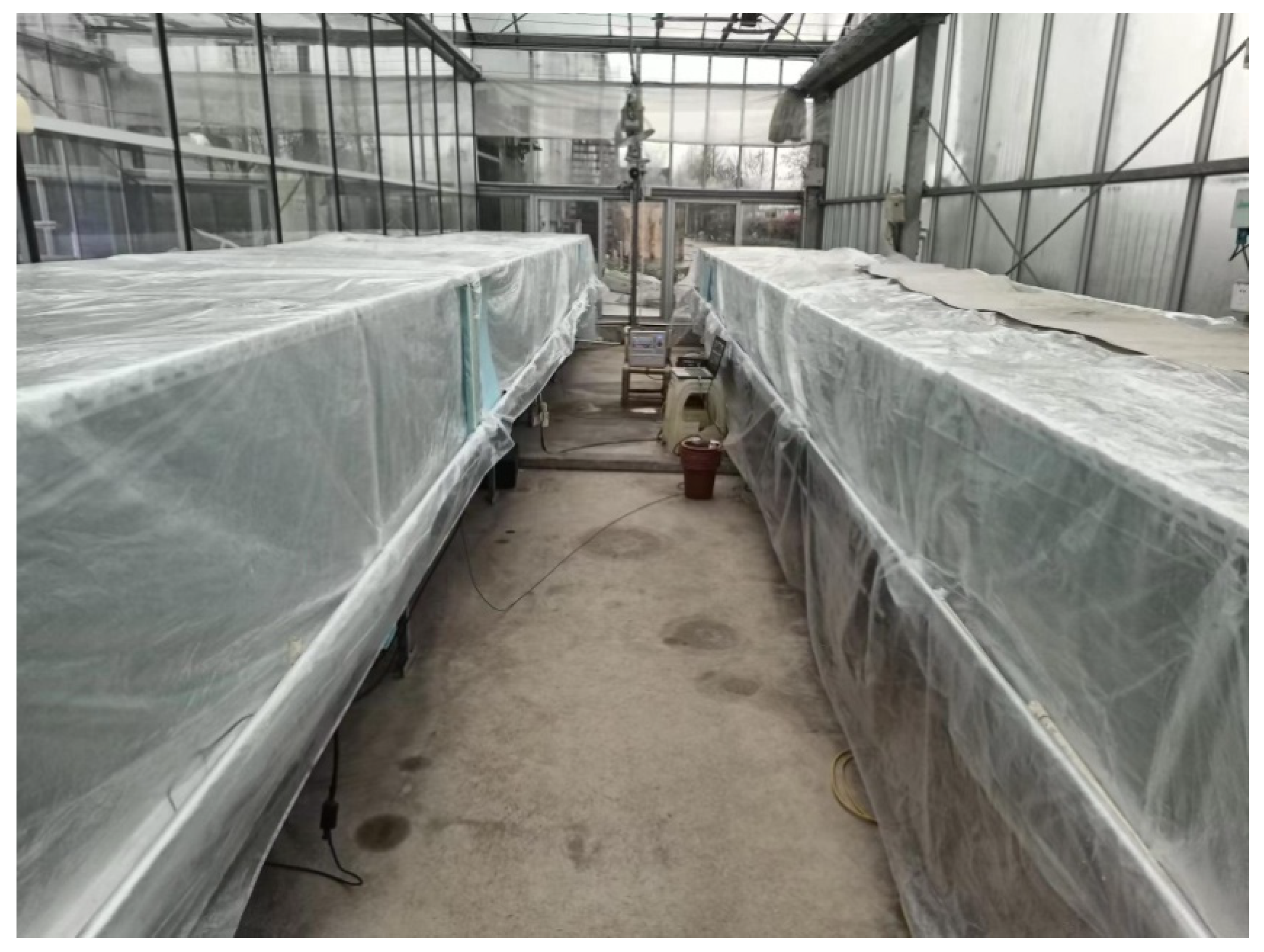 Agriculture 12 01401 g002