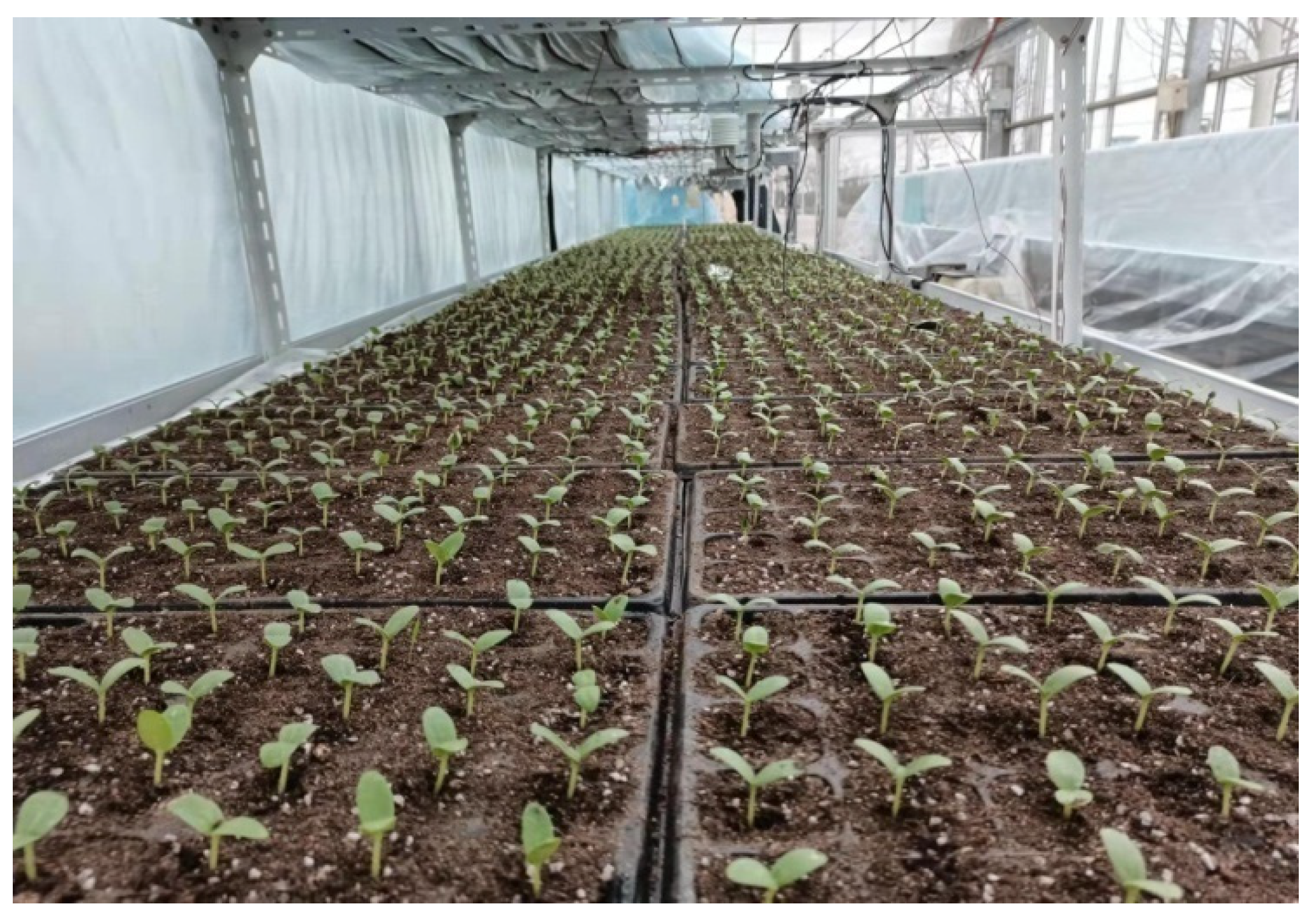 Agriculture 12 01401 g008