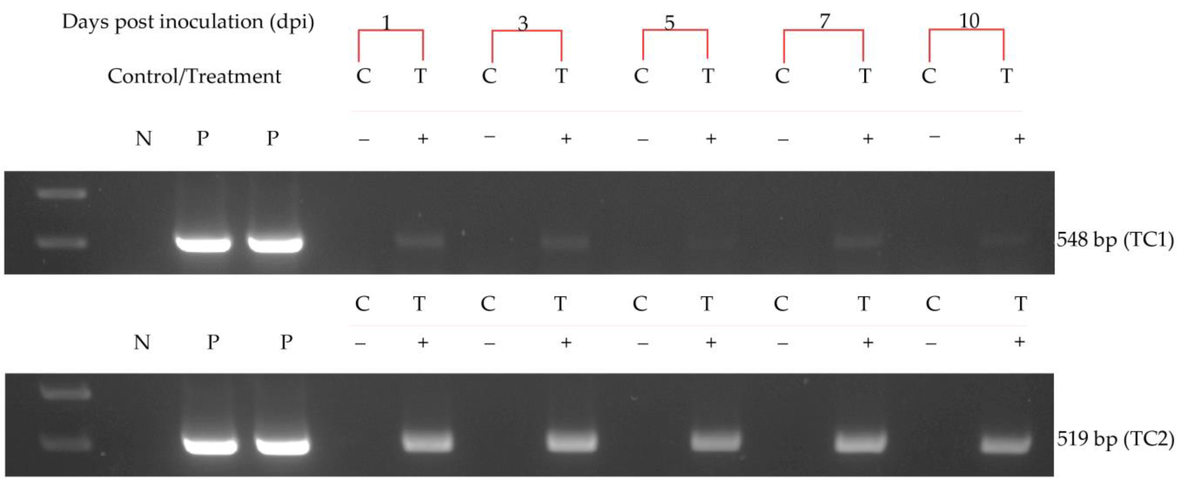 Agriculture 12 01416 g001