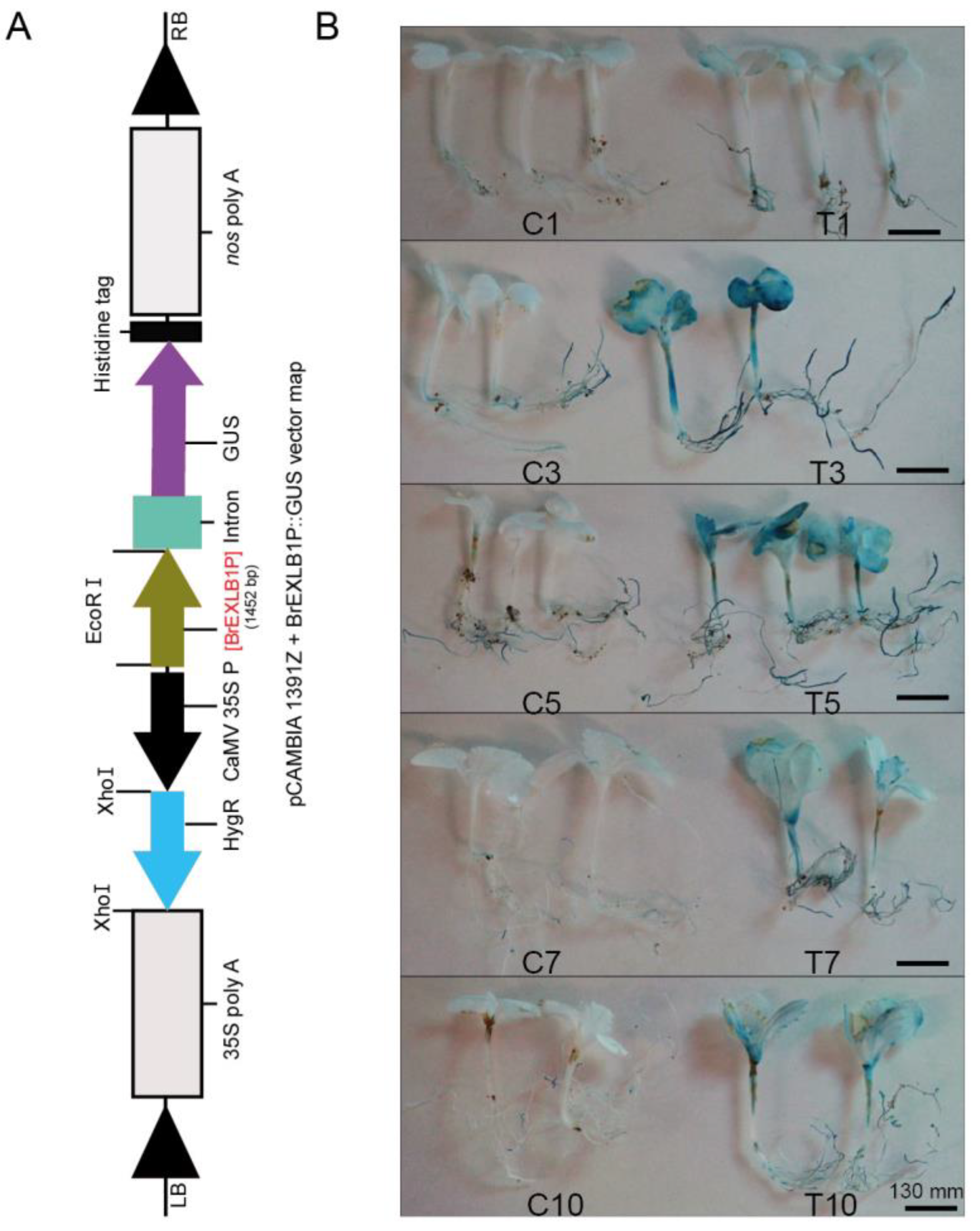 Agriculture 12 01416 g002