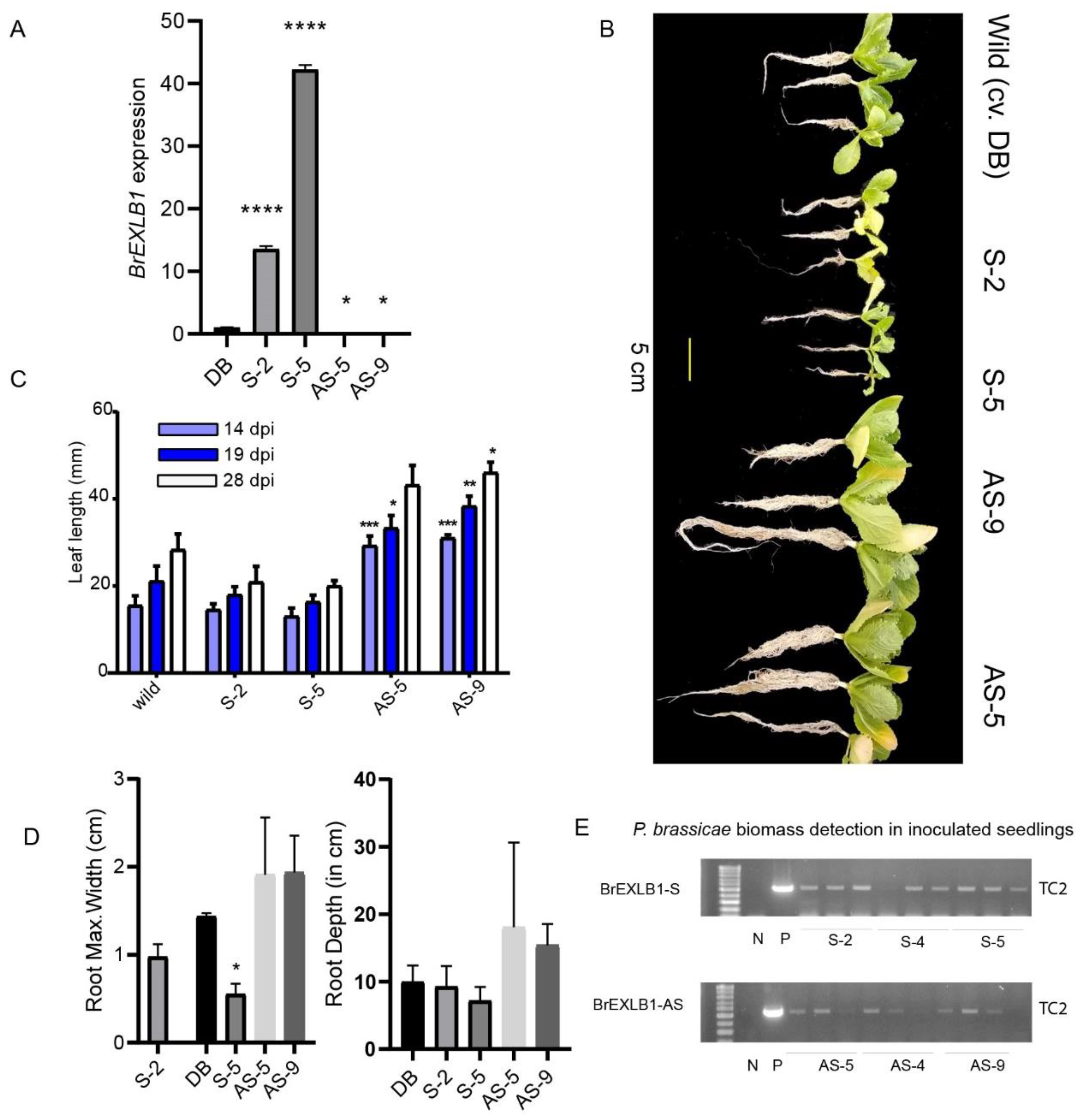 Agriculture 12 01416 g003