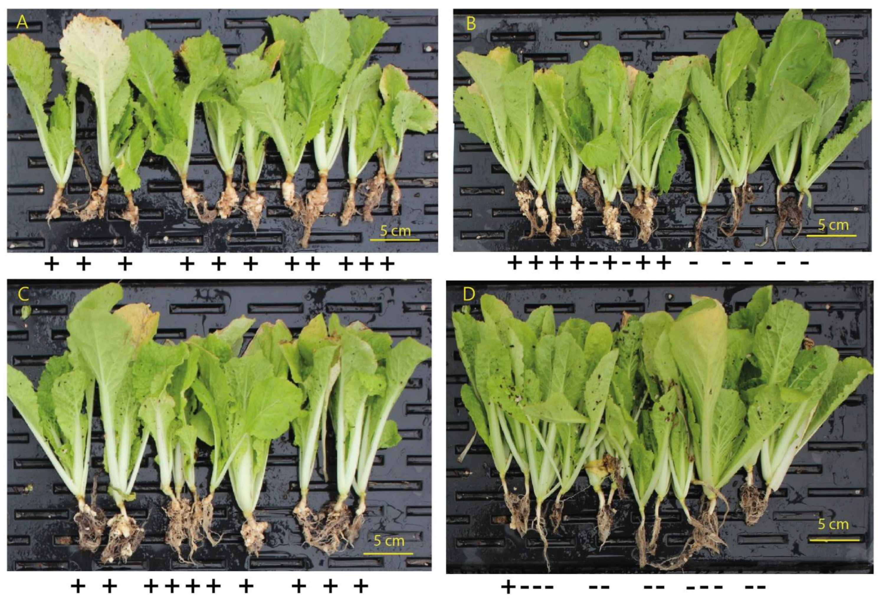 Agriculture 12 01416 g004
