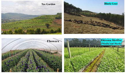 Agriculture 12 01417 i001