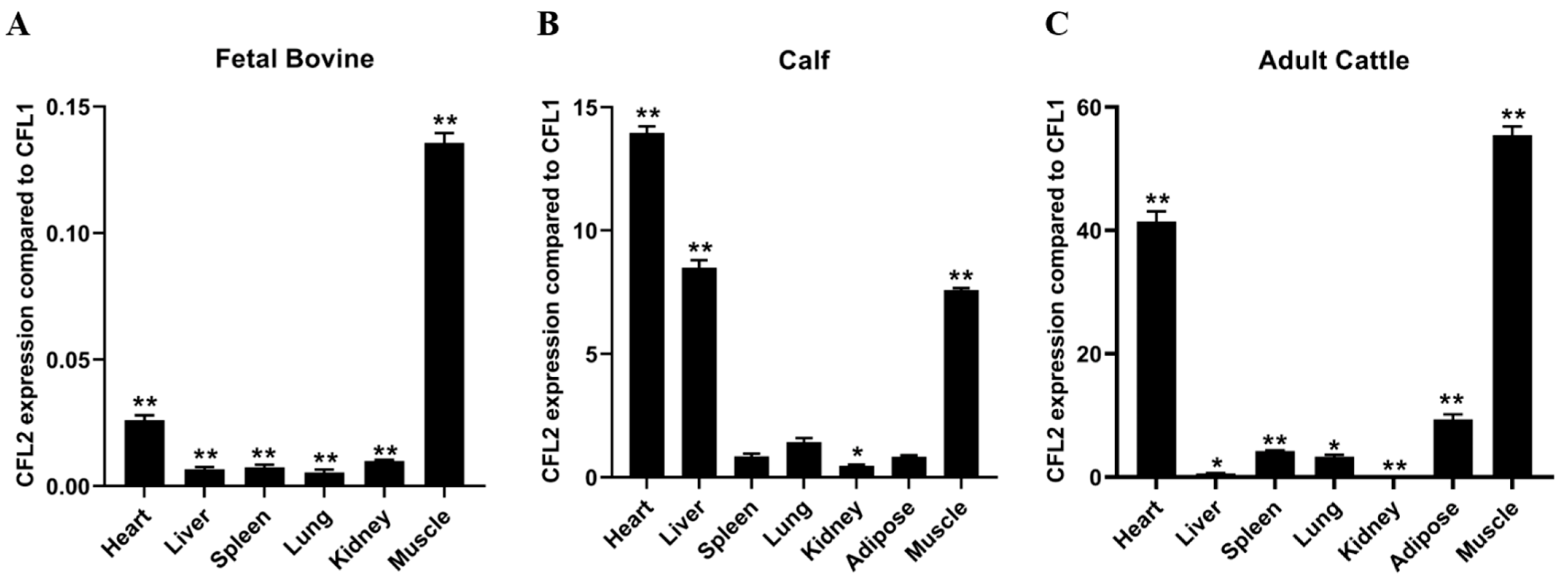 Agriculture 12 01420 g001