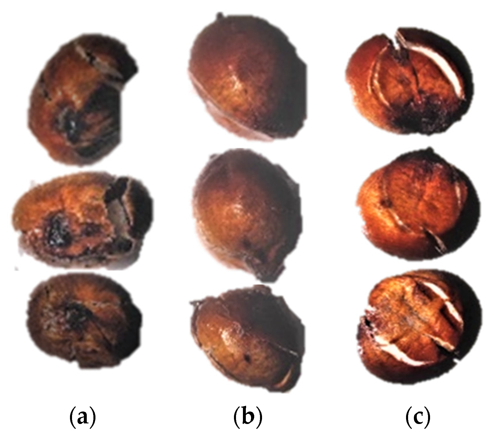 Agriculture 12 01422 g007