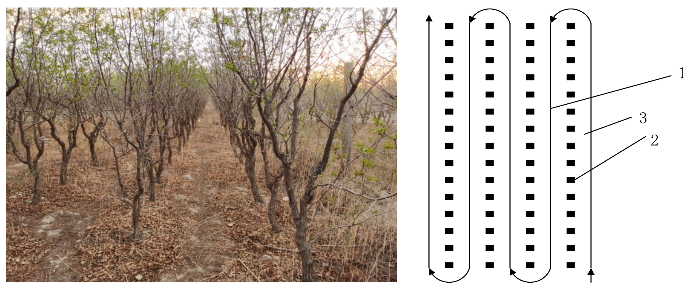 Agriculture 12 01445 g001