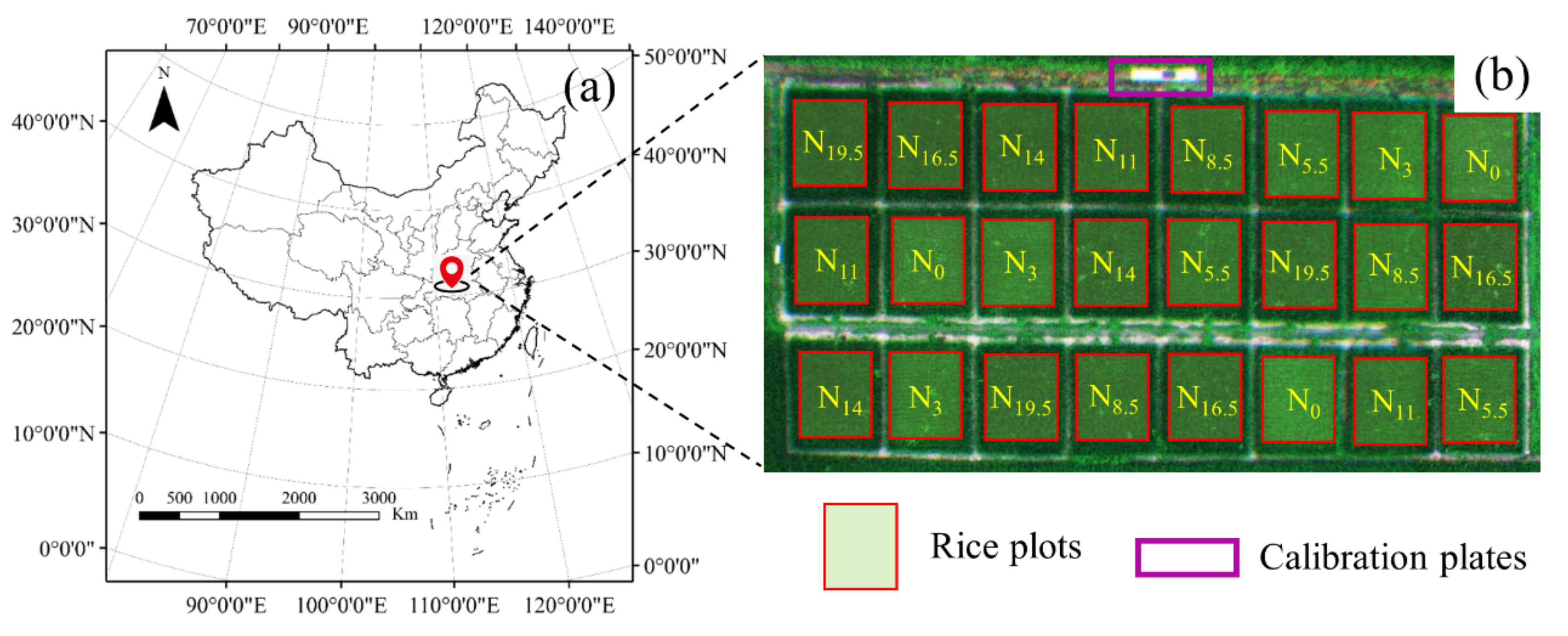 Agriculture 12 01447 g001