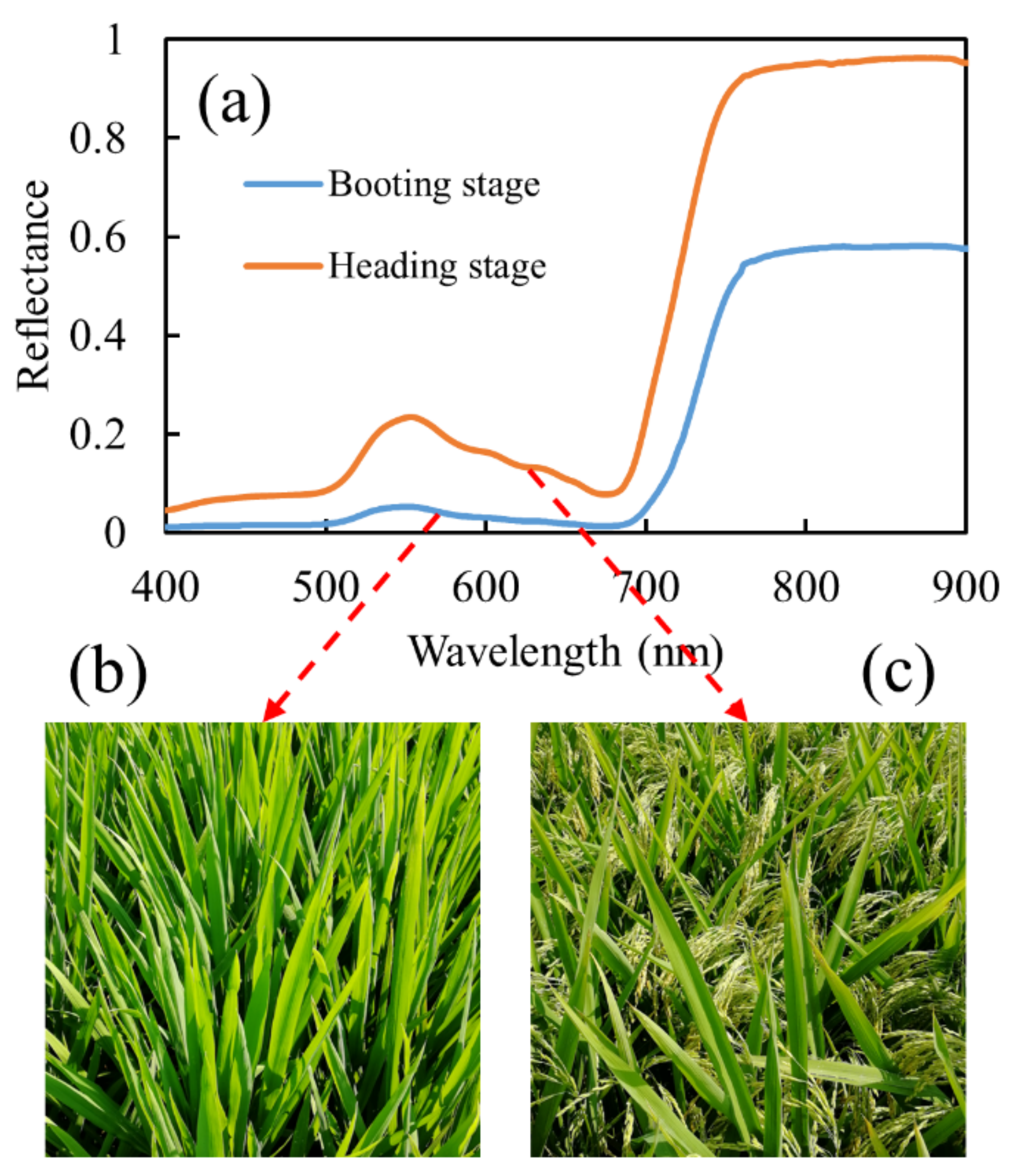 Agriculture 12 01447 g004