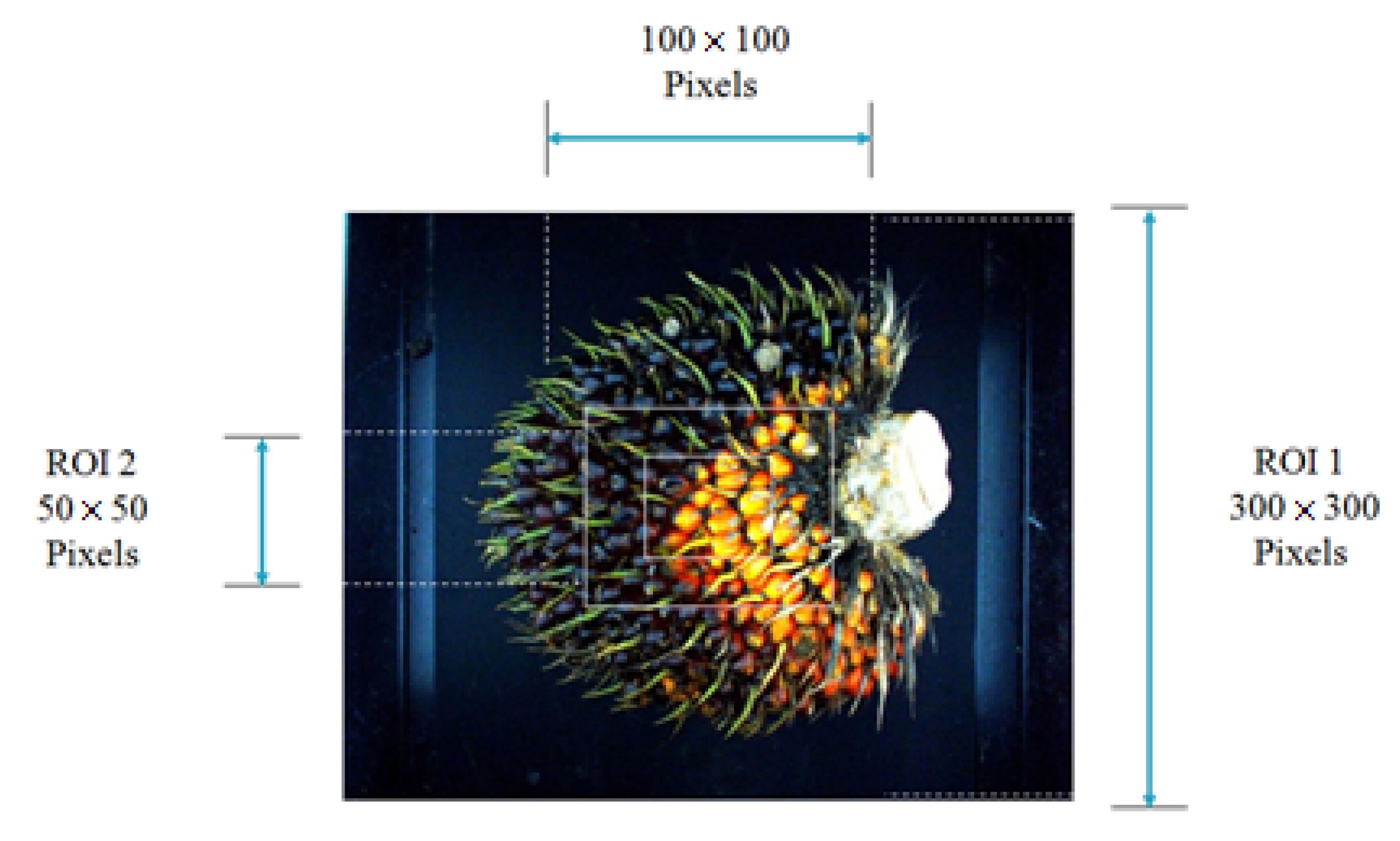Agriculture 12 01461 g006