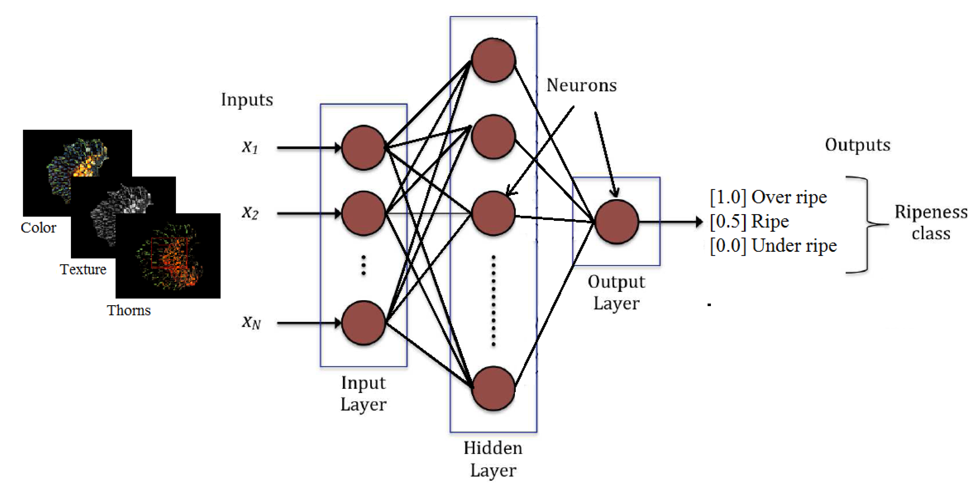 Agriculture 12 01461 g007