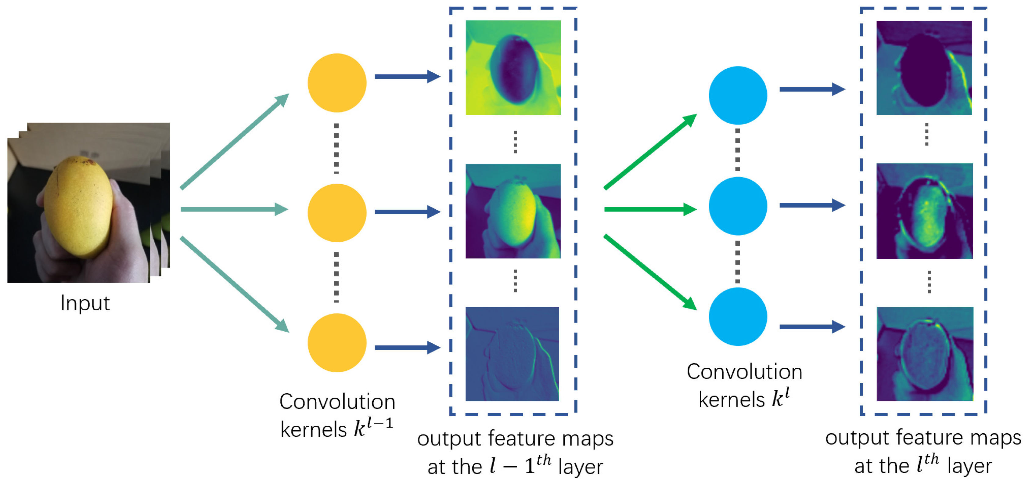 Agriculture 12 01467 g003