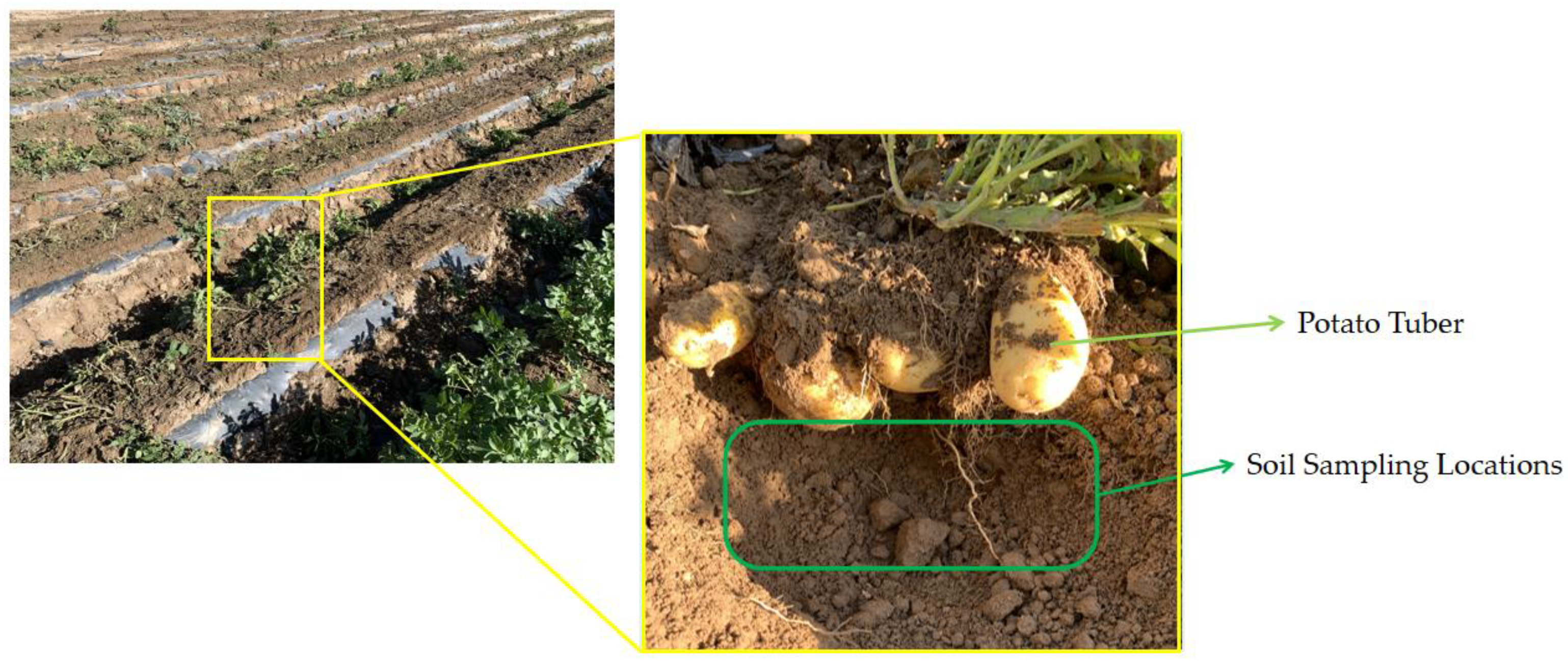 Agriculture 12 01475 g001