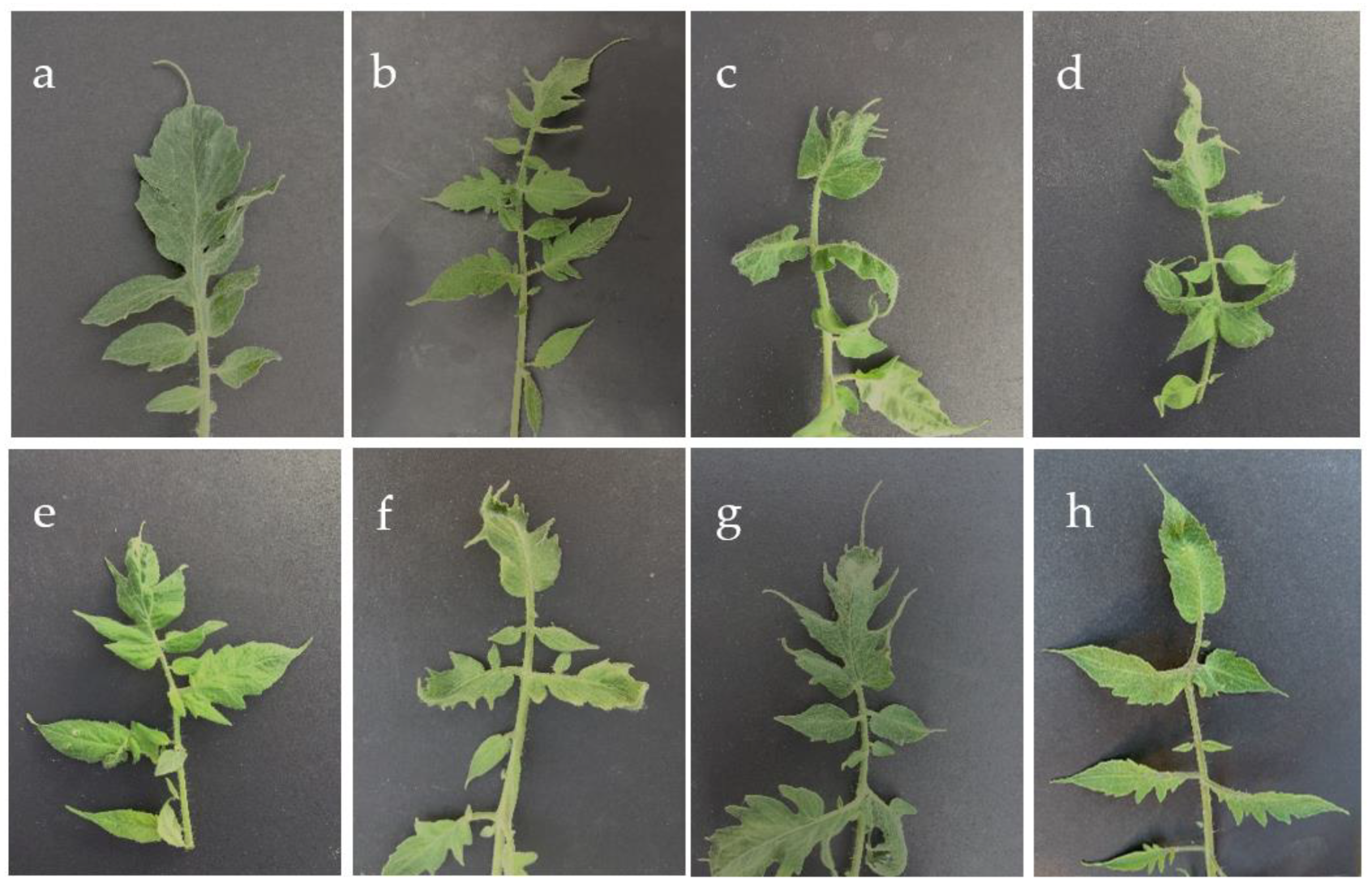 Agriculture 12 01489 g001