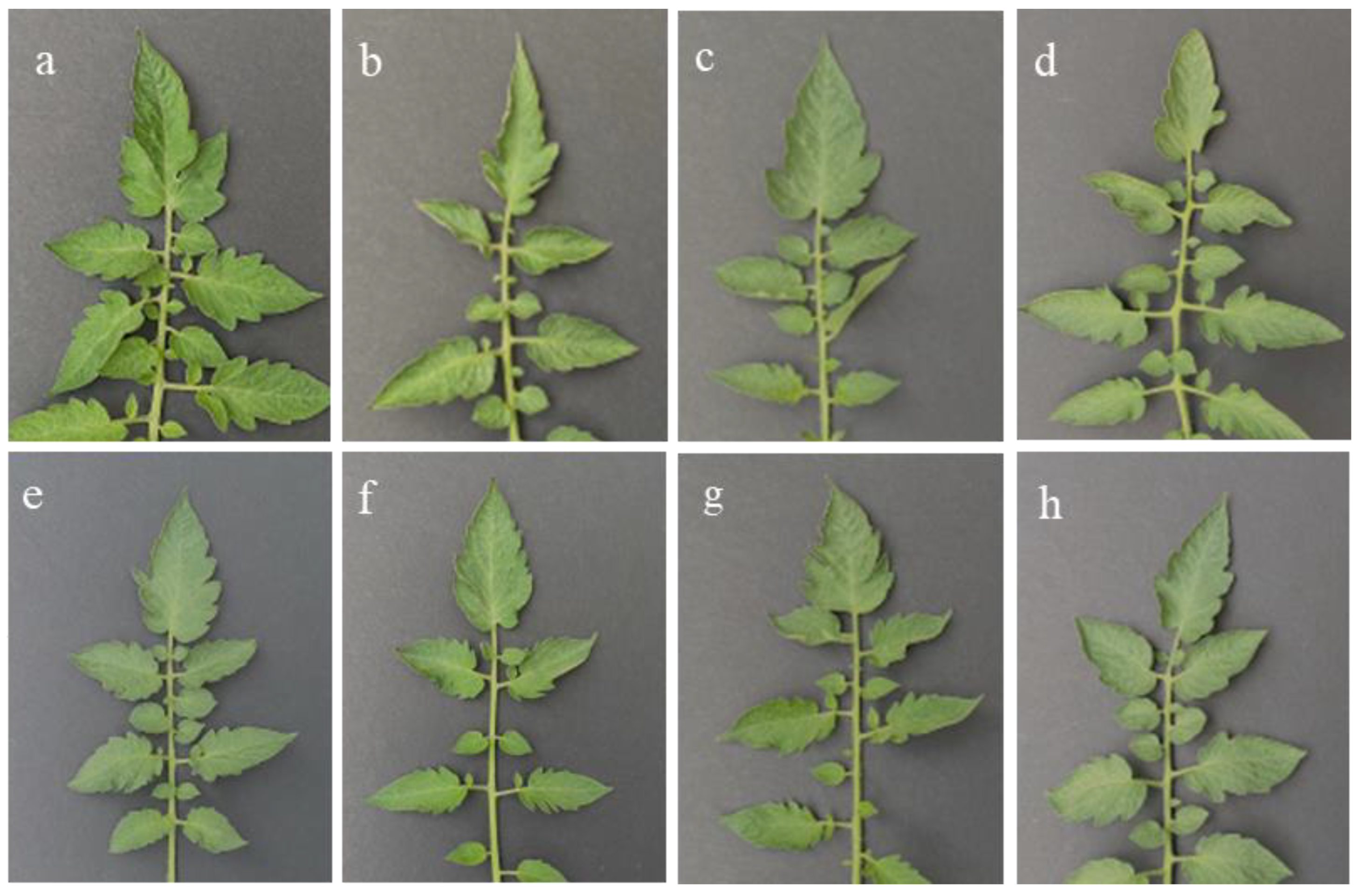 Agriculture 12 01489 g002