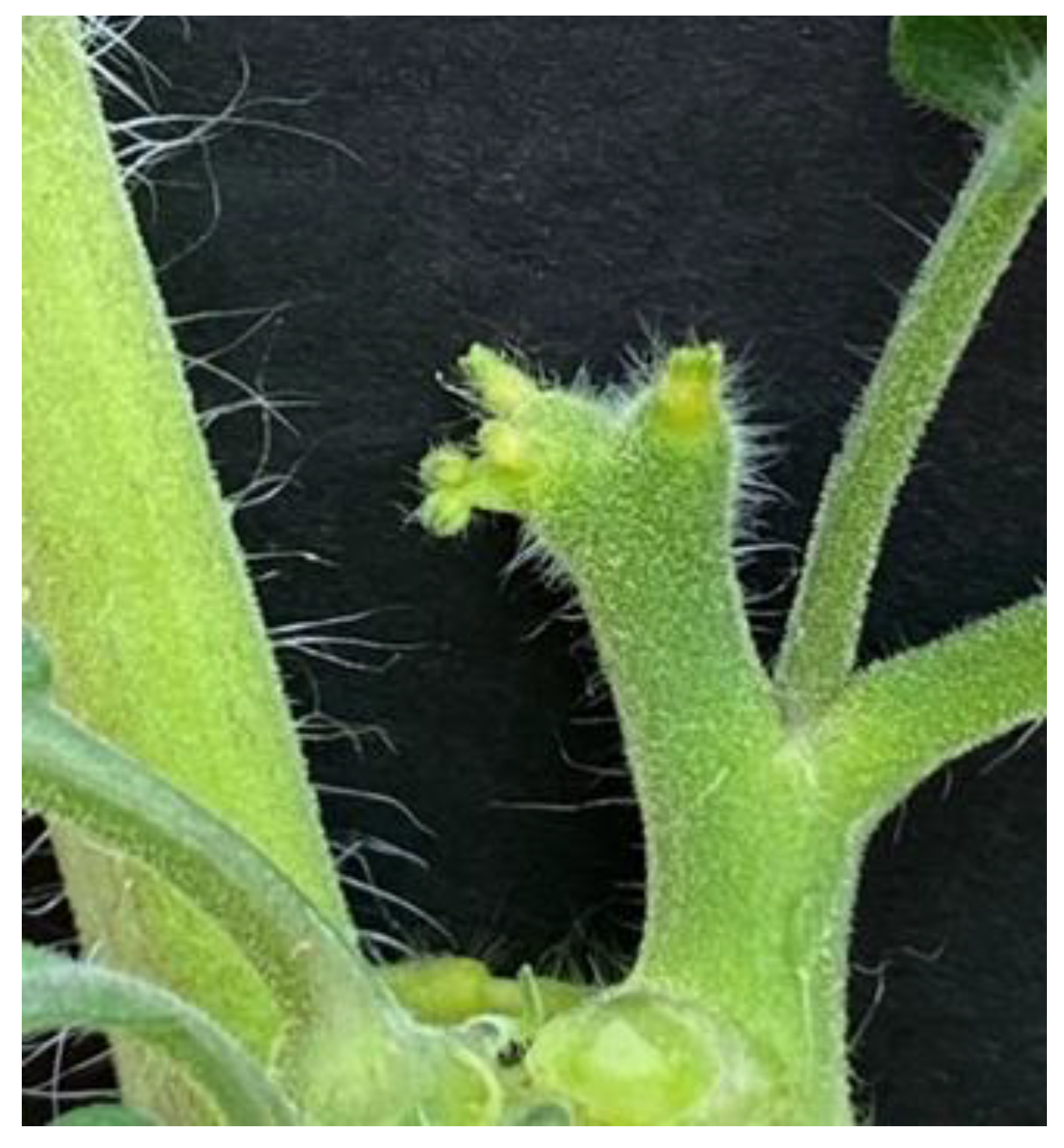 Agriculture 12 01489 g003