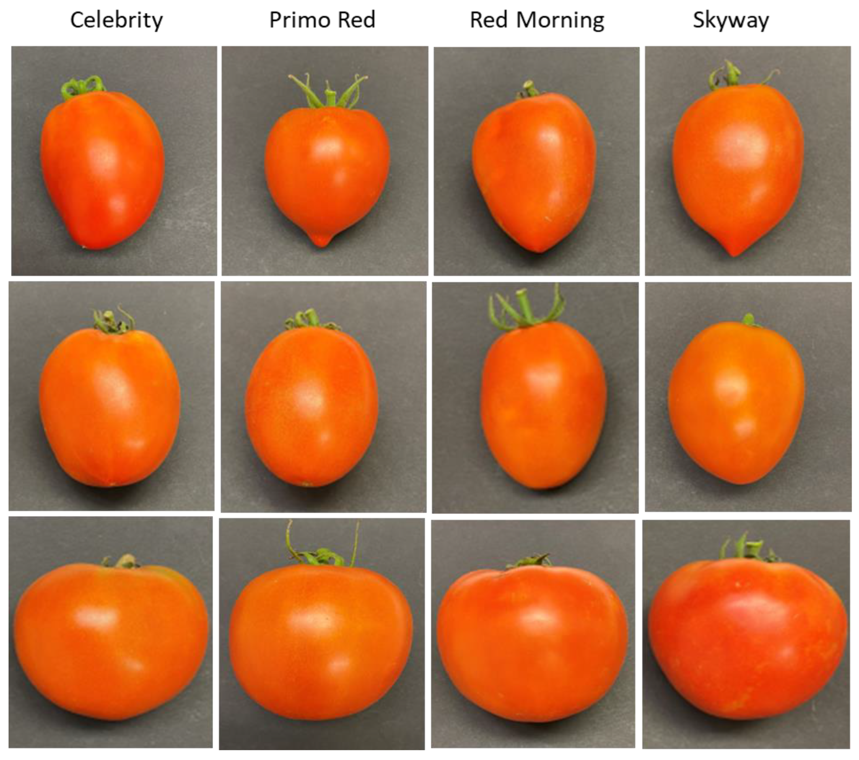 Agriculture 12 01489 g004