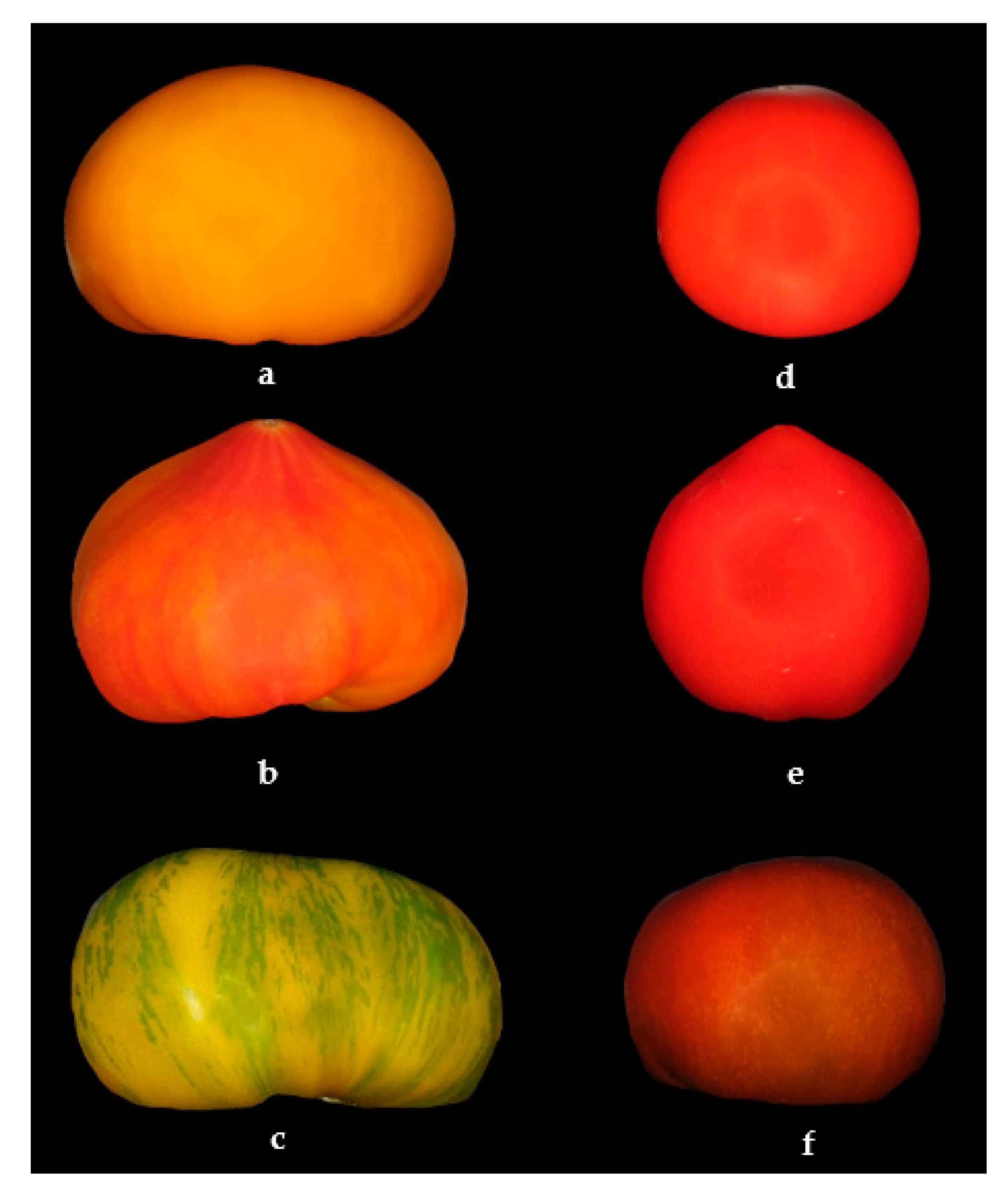 Agriculture 12 01495 g001