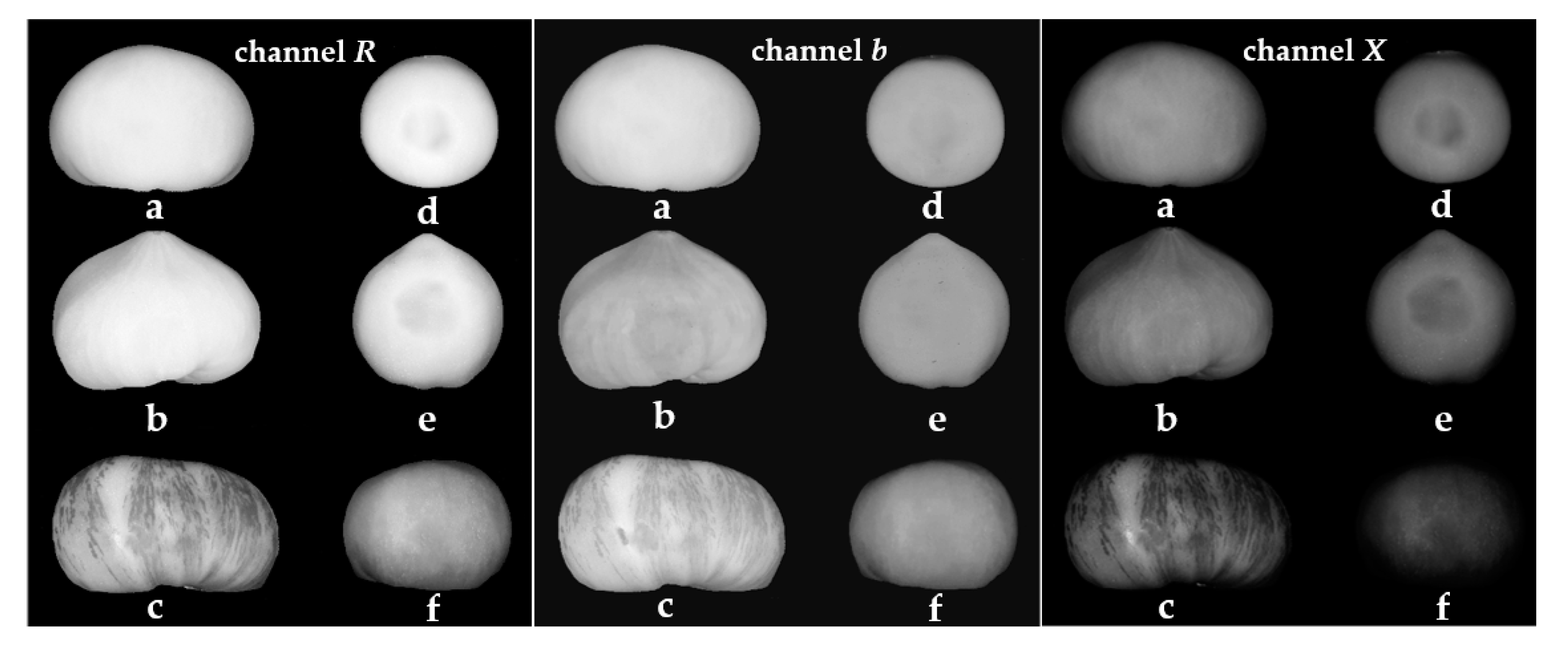 Agriculture 12 01495 g002