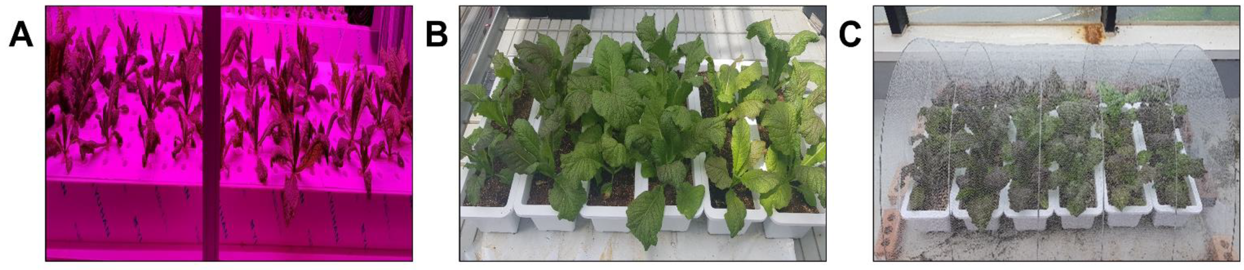 Agriculture 12 01515 g001