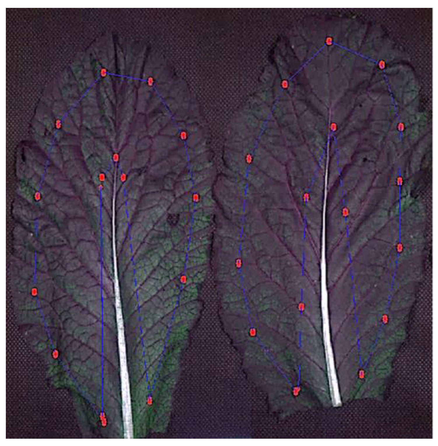 Agriculture 12 01515 g003