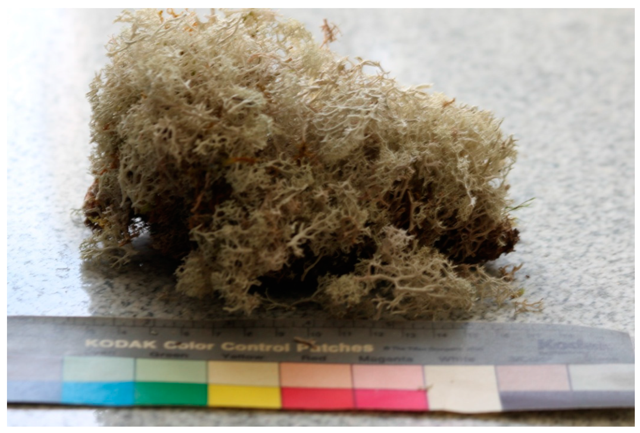 Agriculture 12 01560 g003 Agriculture 12 01560 g003