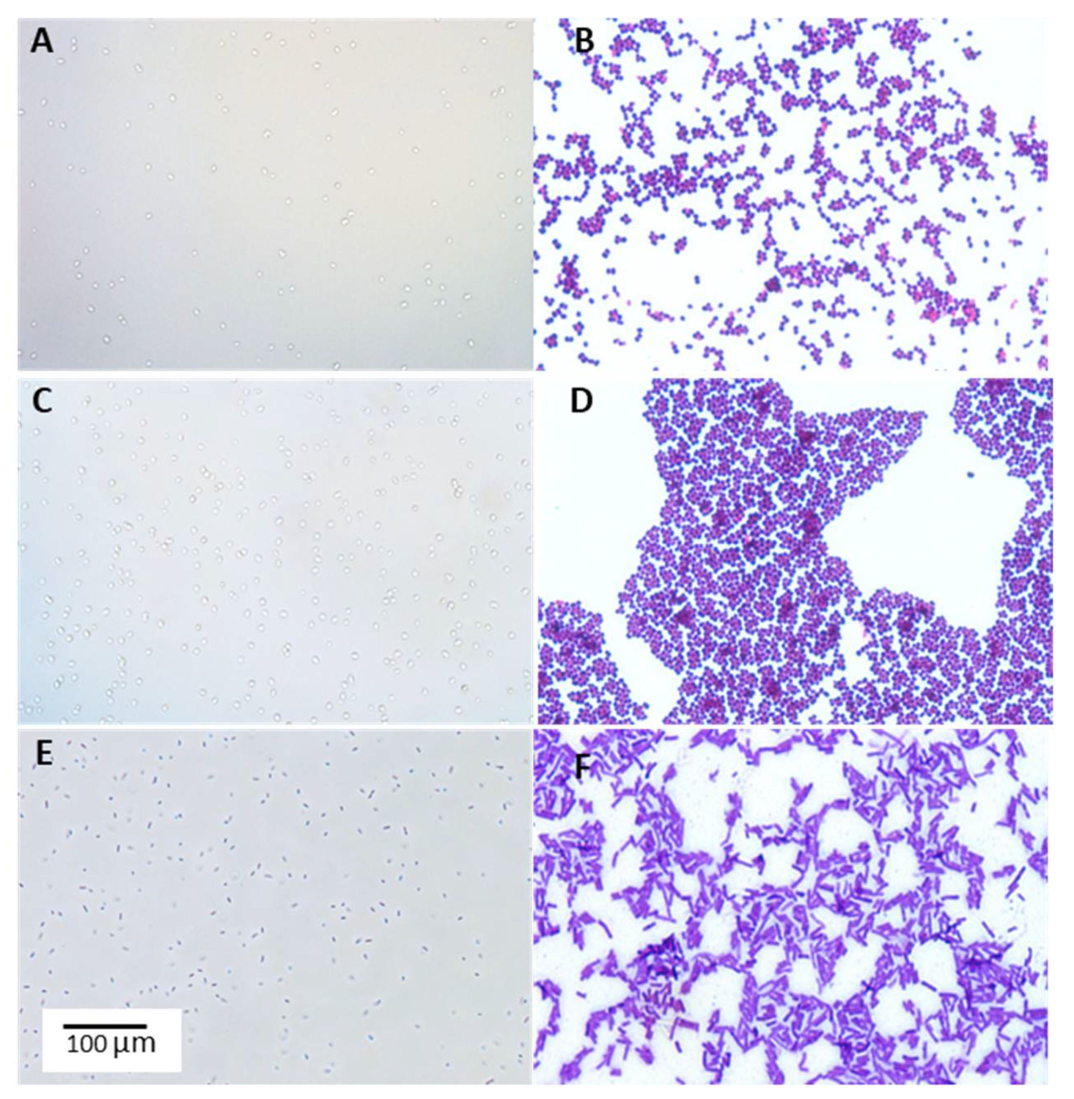Agriculture 12 01562 g001
