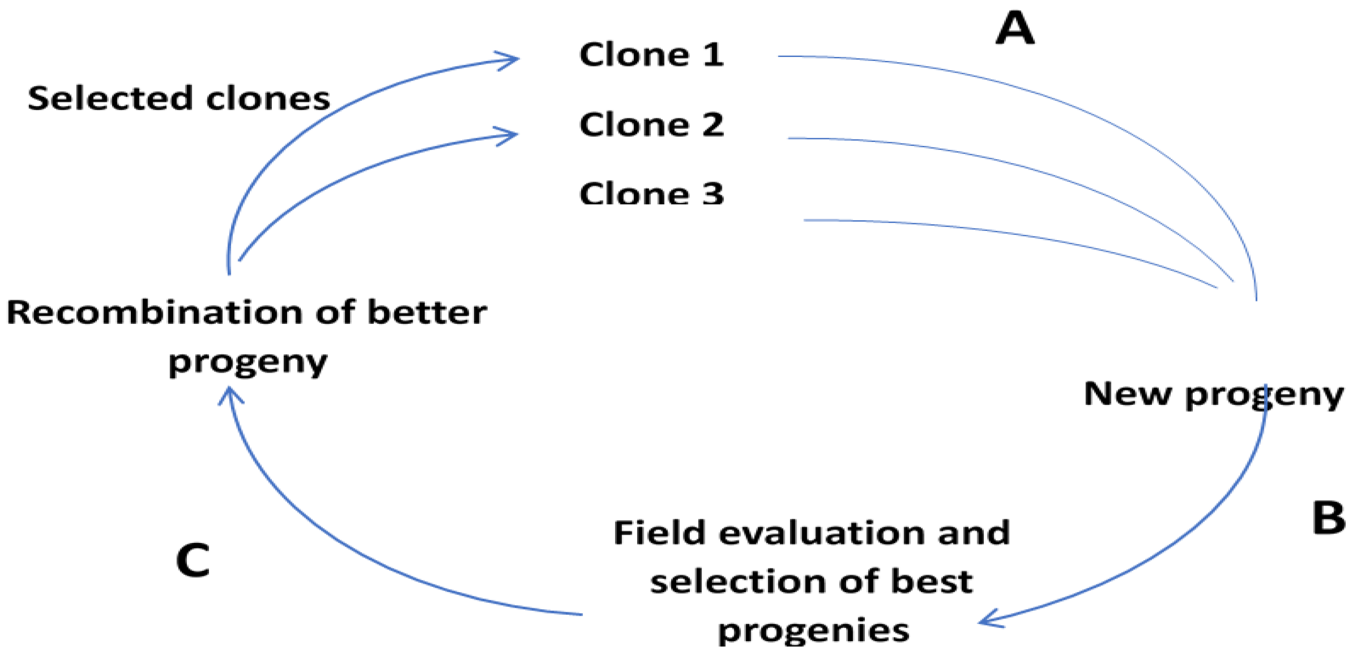 Agriculture 12 01576 g002