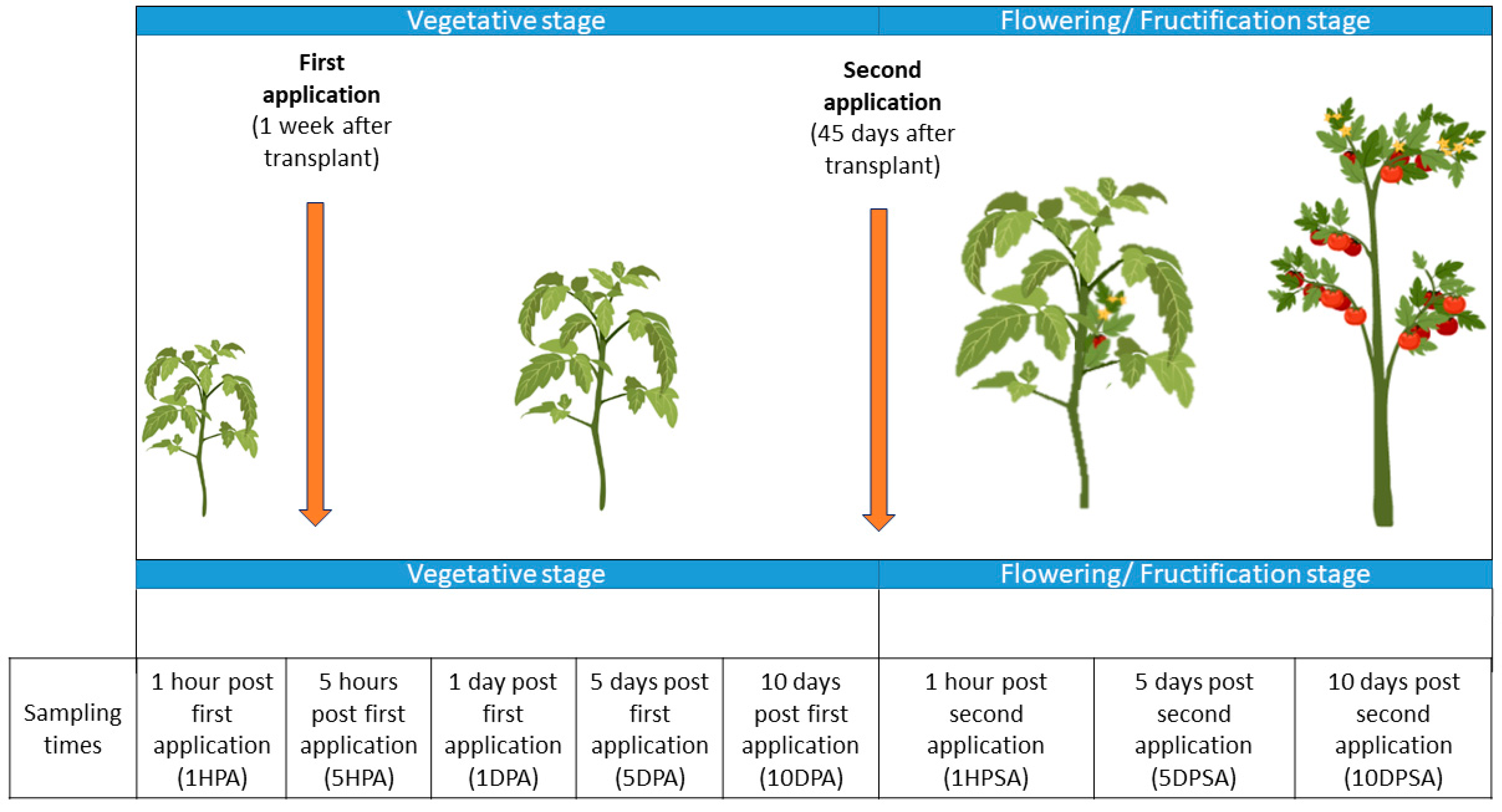 Agriculture 12 01587 g001