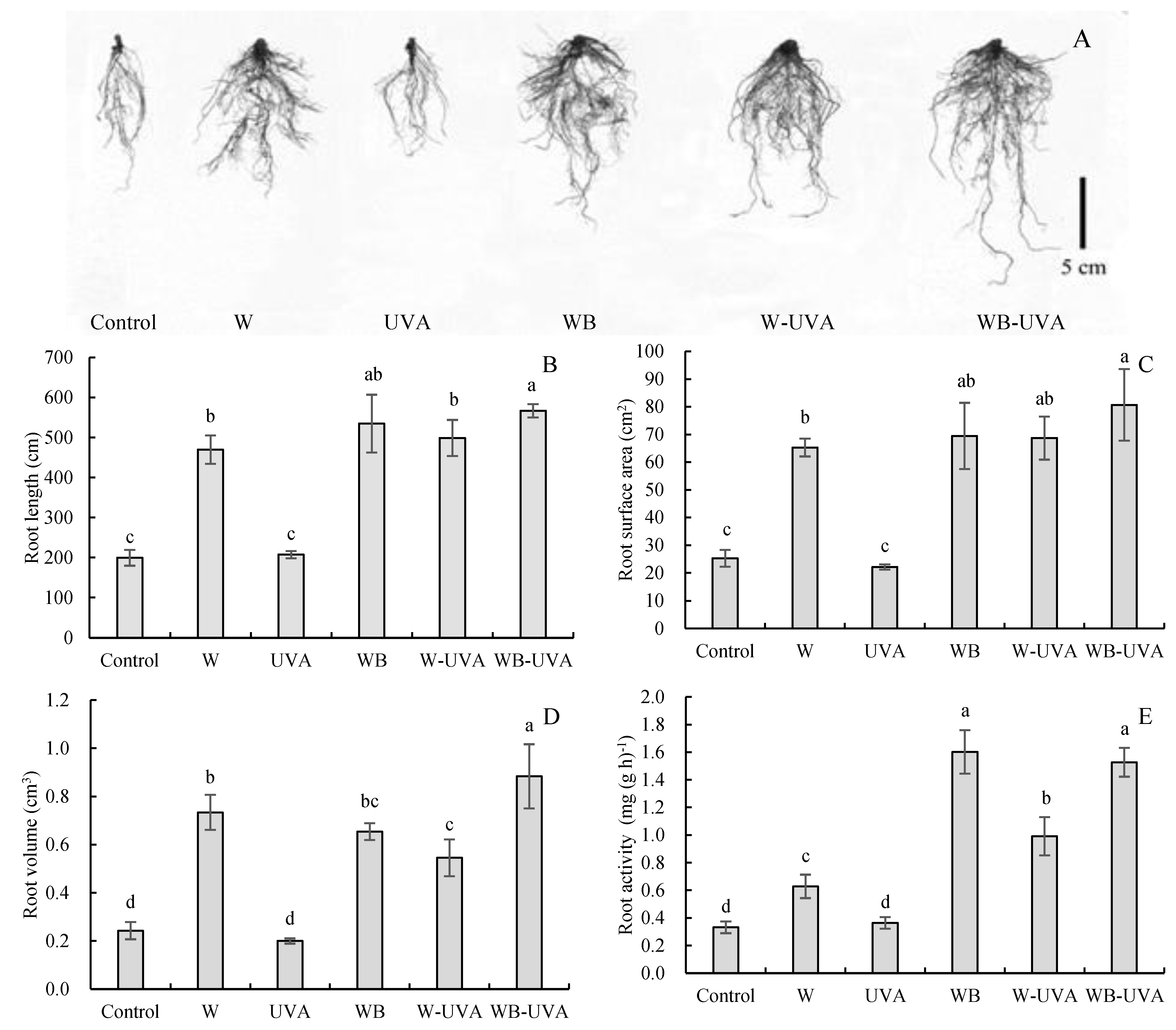 Agriculture 12 01593 g001