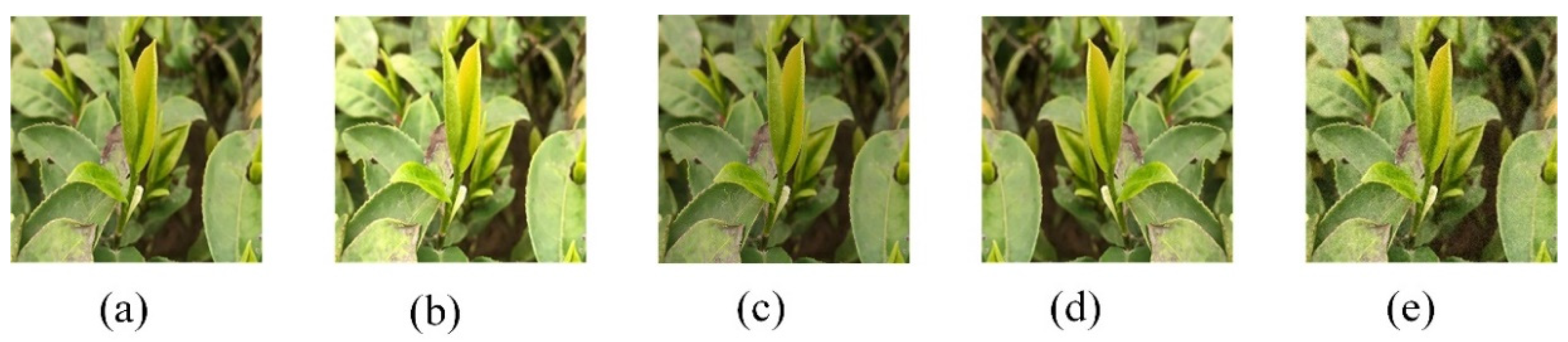 Agriculture 12 01594 g001