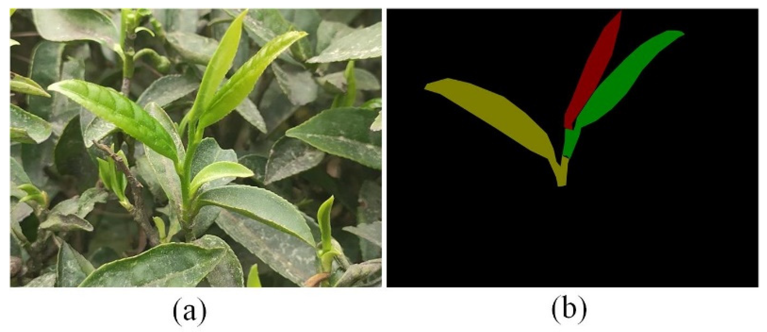 Agriculture 12 01594 g002