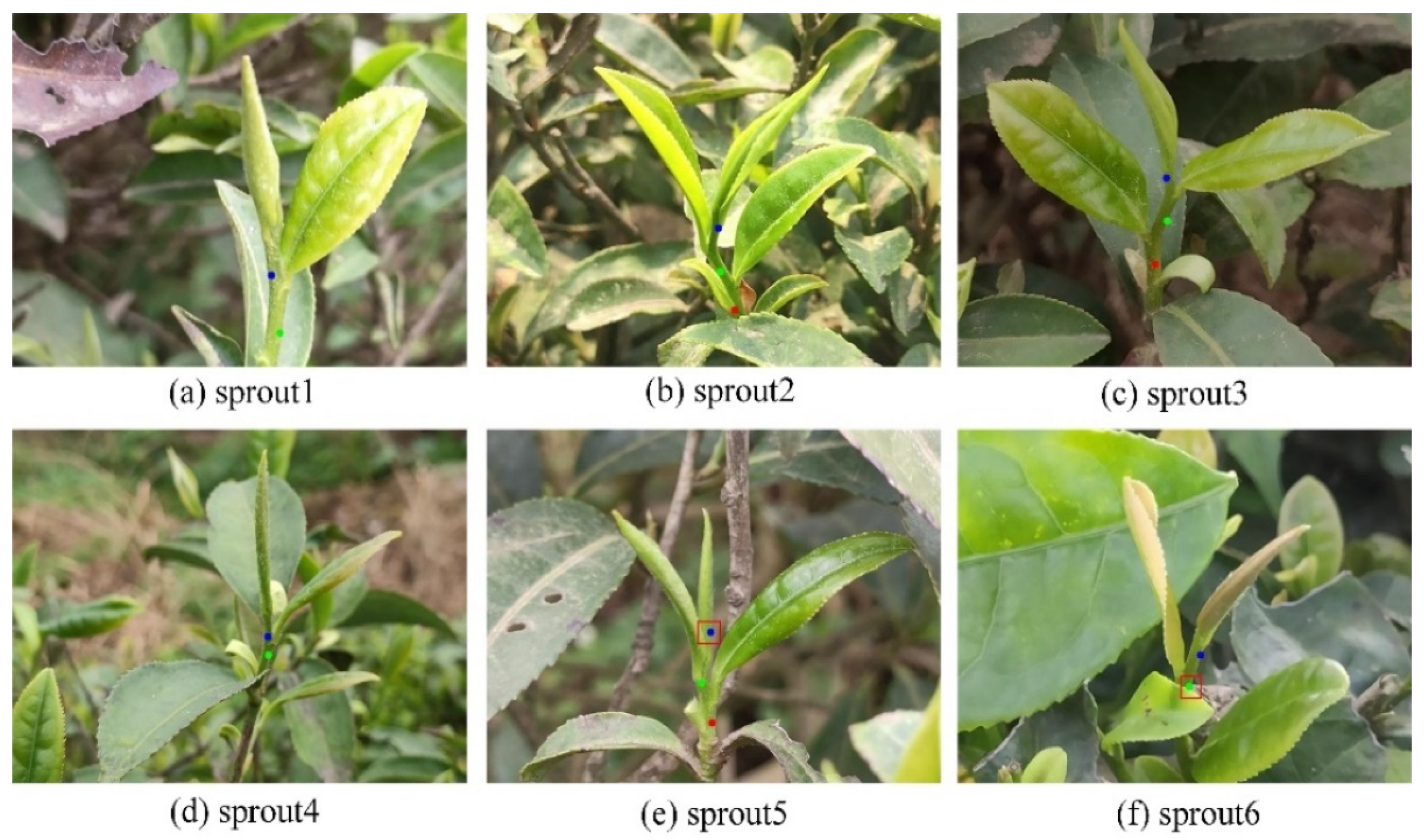 Agriculture 12 01594 g009