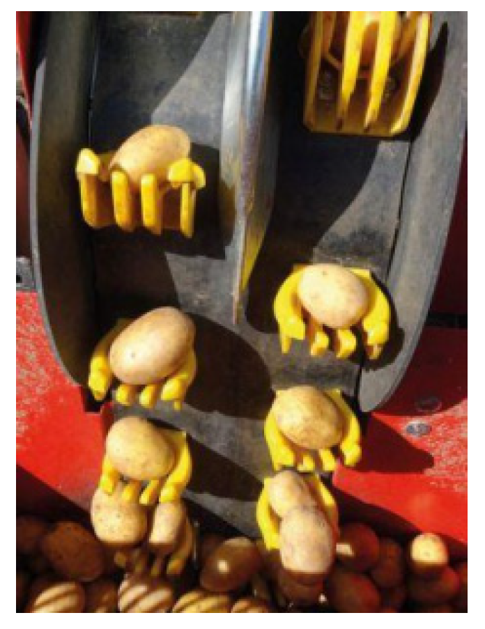 Agriculture 12 01600 g007 Agriculture 12 01600 g007