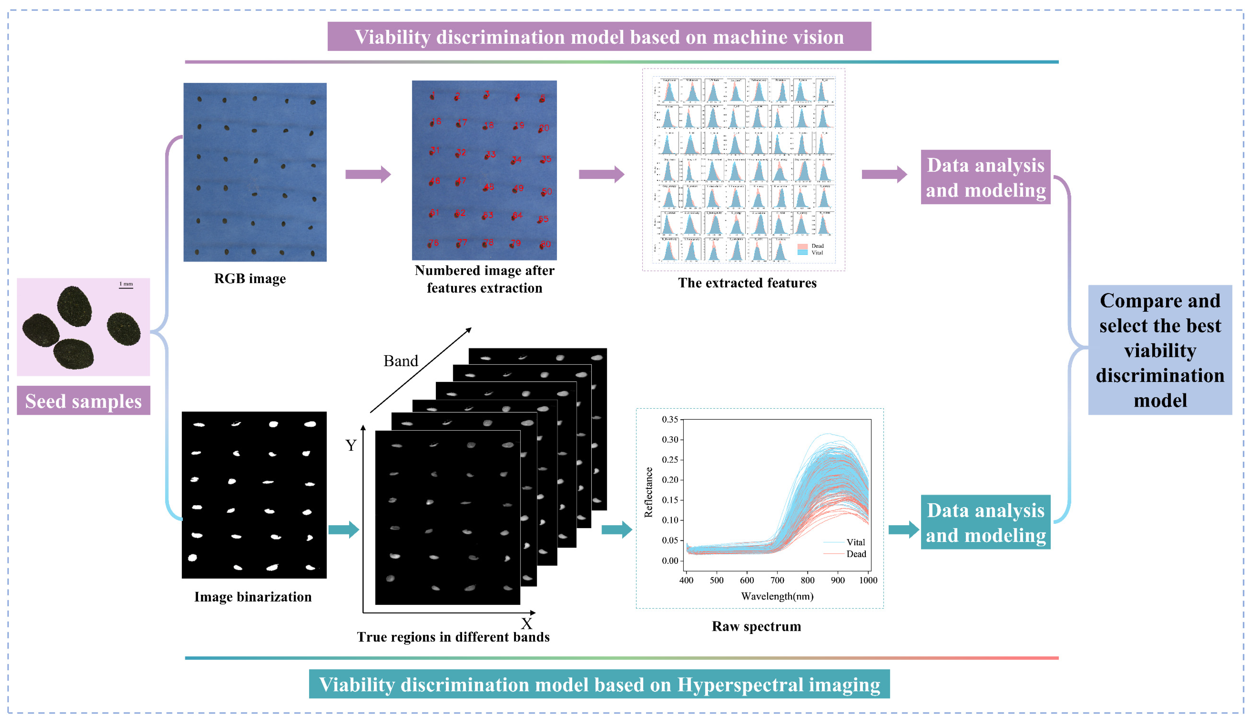 Agriculture 12 01616 g001