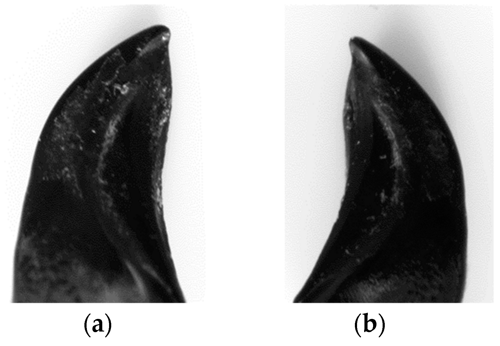 Agriculture 12 01637 g003