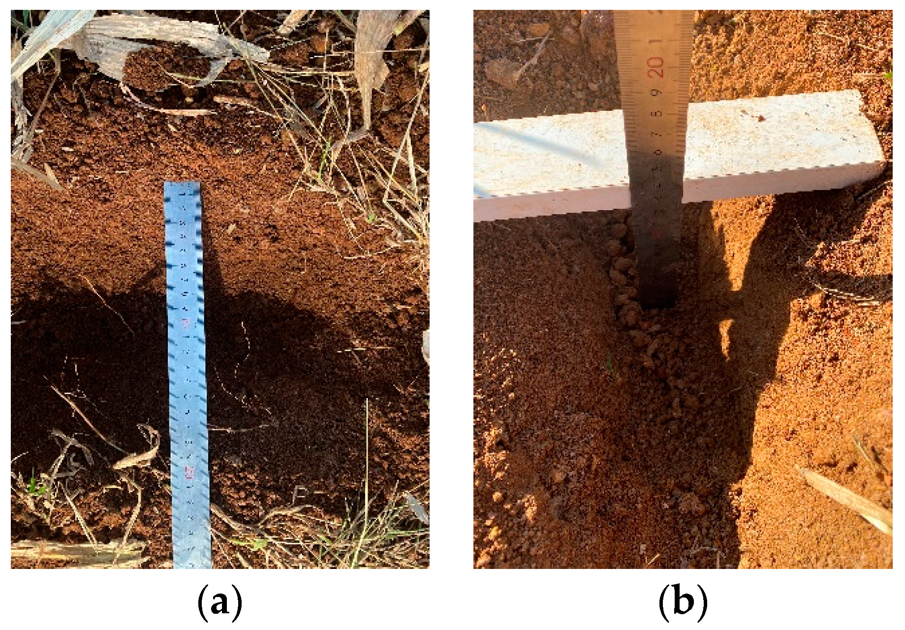 Agriculture 12 01637 g016