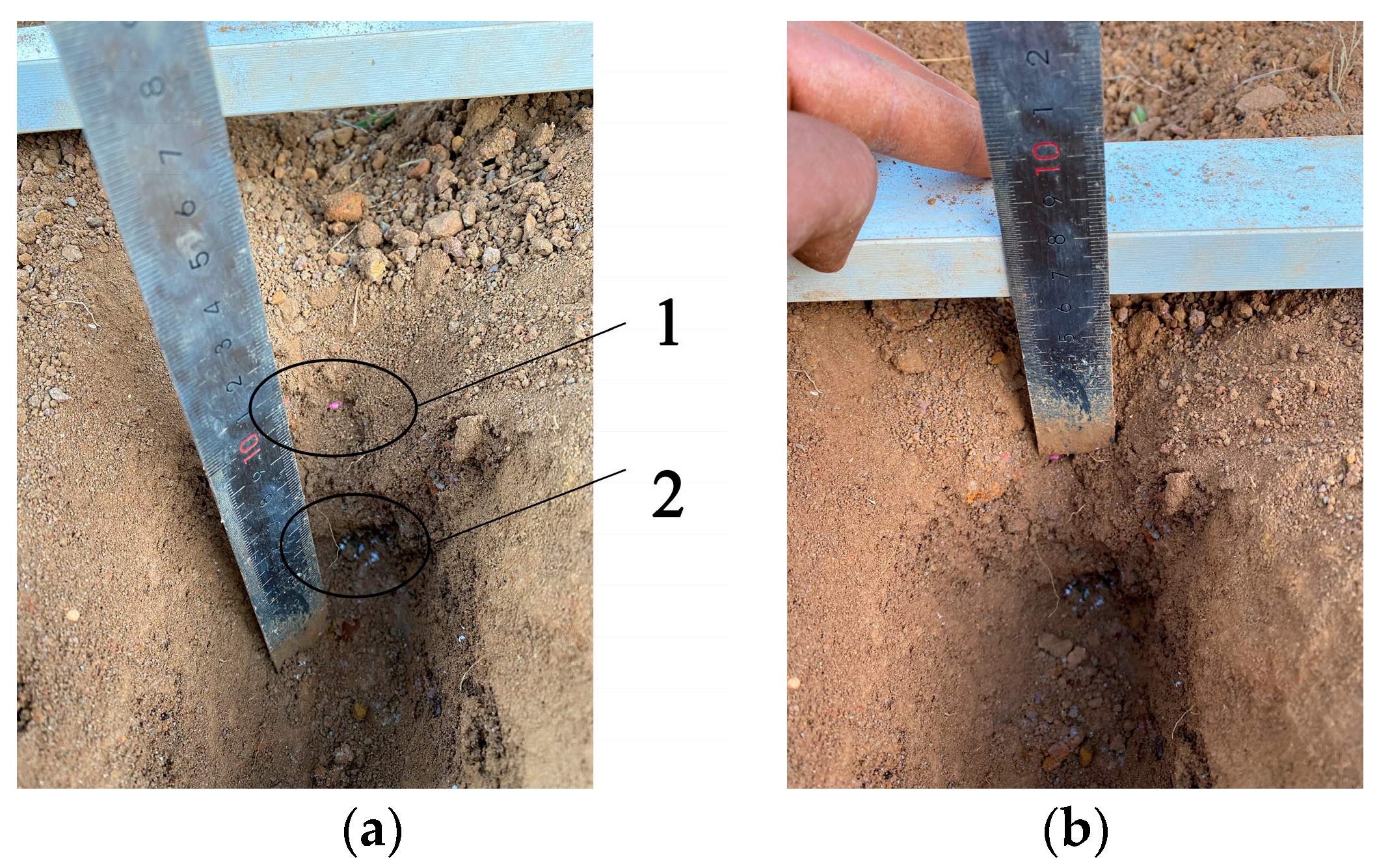 Agriculture 12 01637 g017