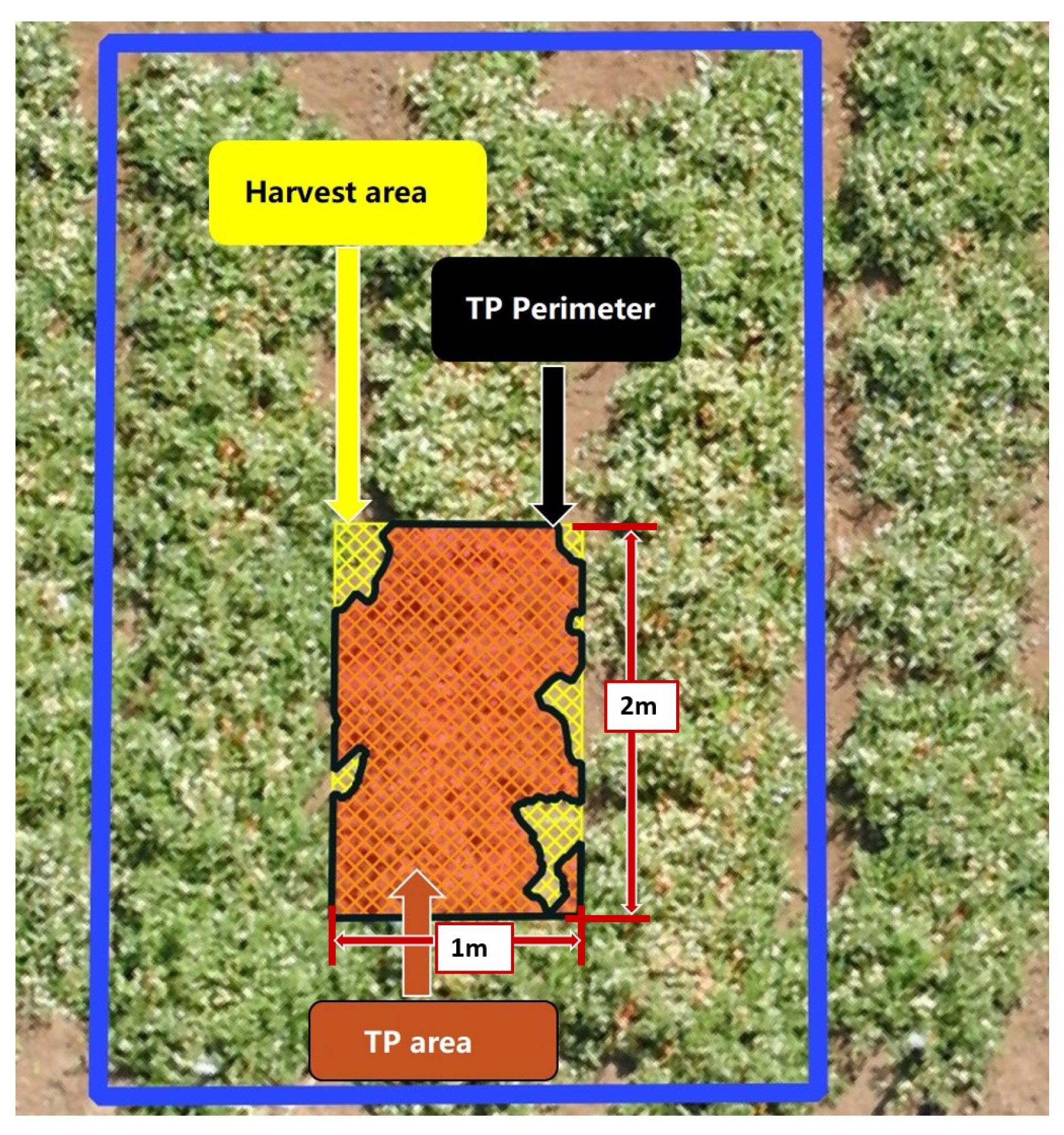 Agriculture 12 01655 g005 Agriculture 12 01655 g005